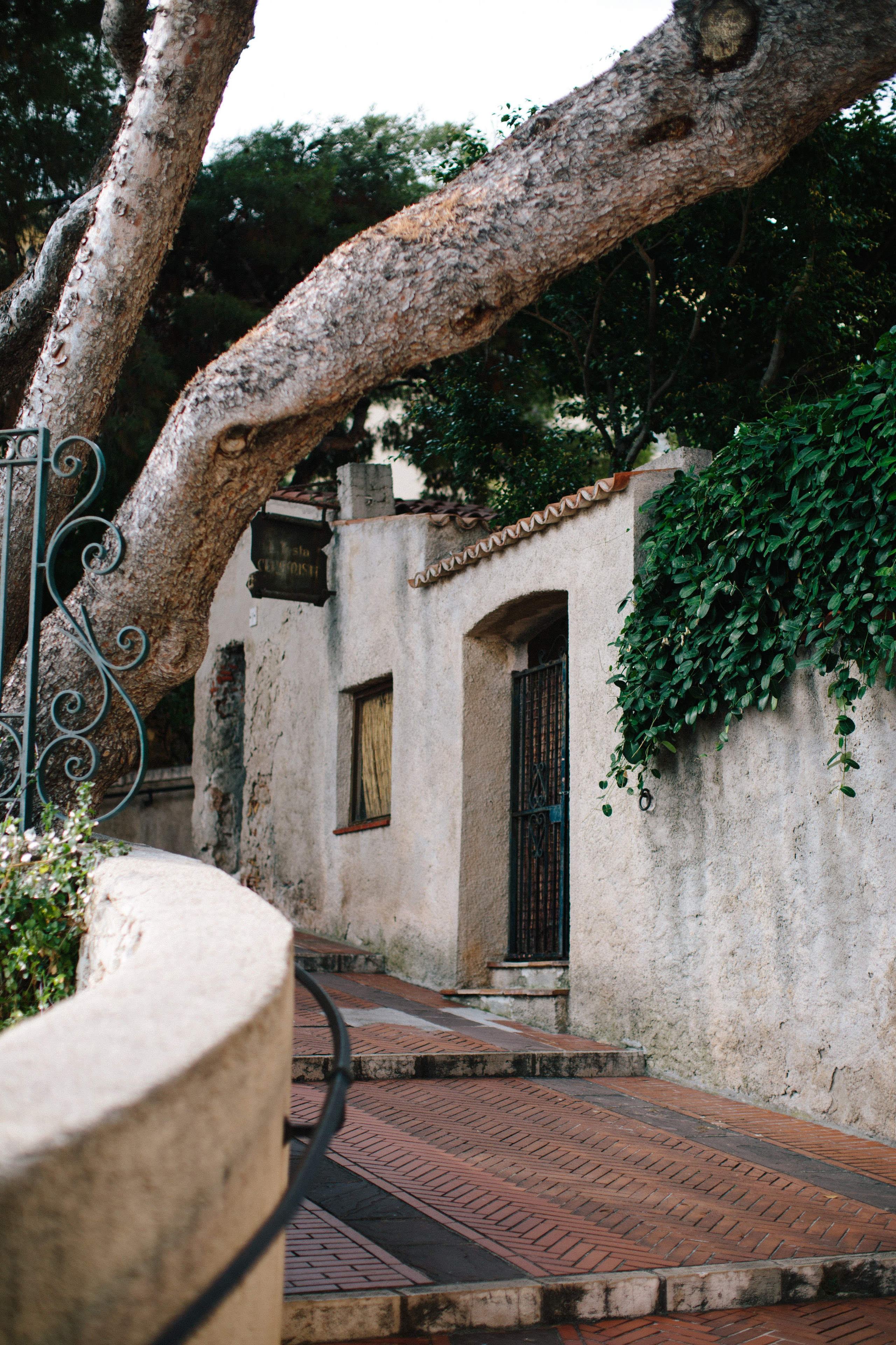 Монако. Фотограф в Германии — Мария Чистякова