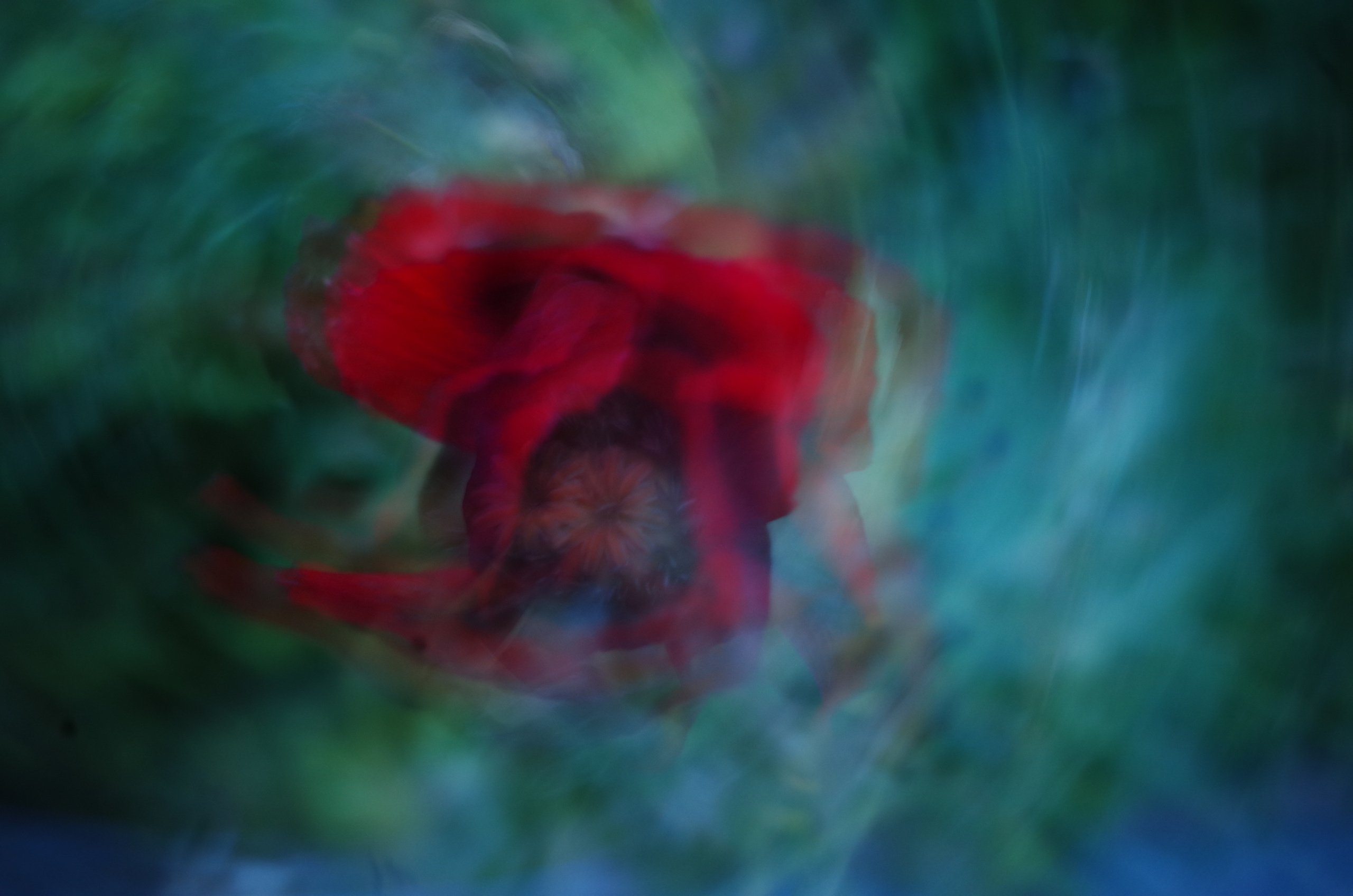 After the dance. Victoria Dini. Art photography in London / Folkestone, UK