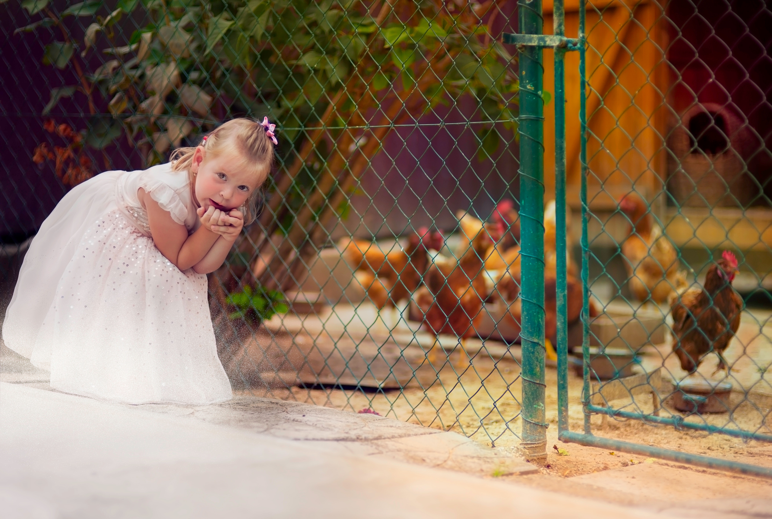 FAMILY KOVACIK. Photographer and videographer in Norway and Slovakia Andrea Zemko