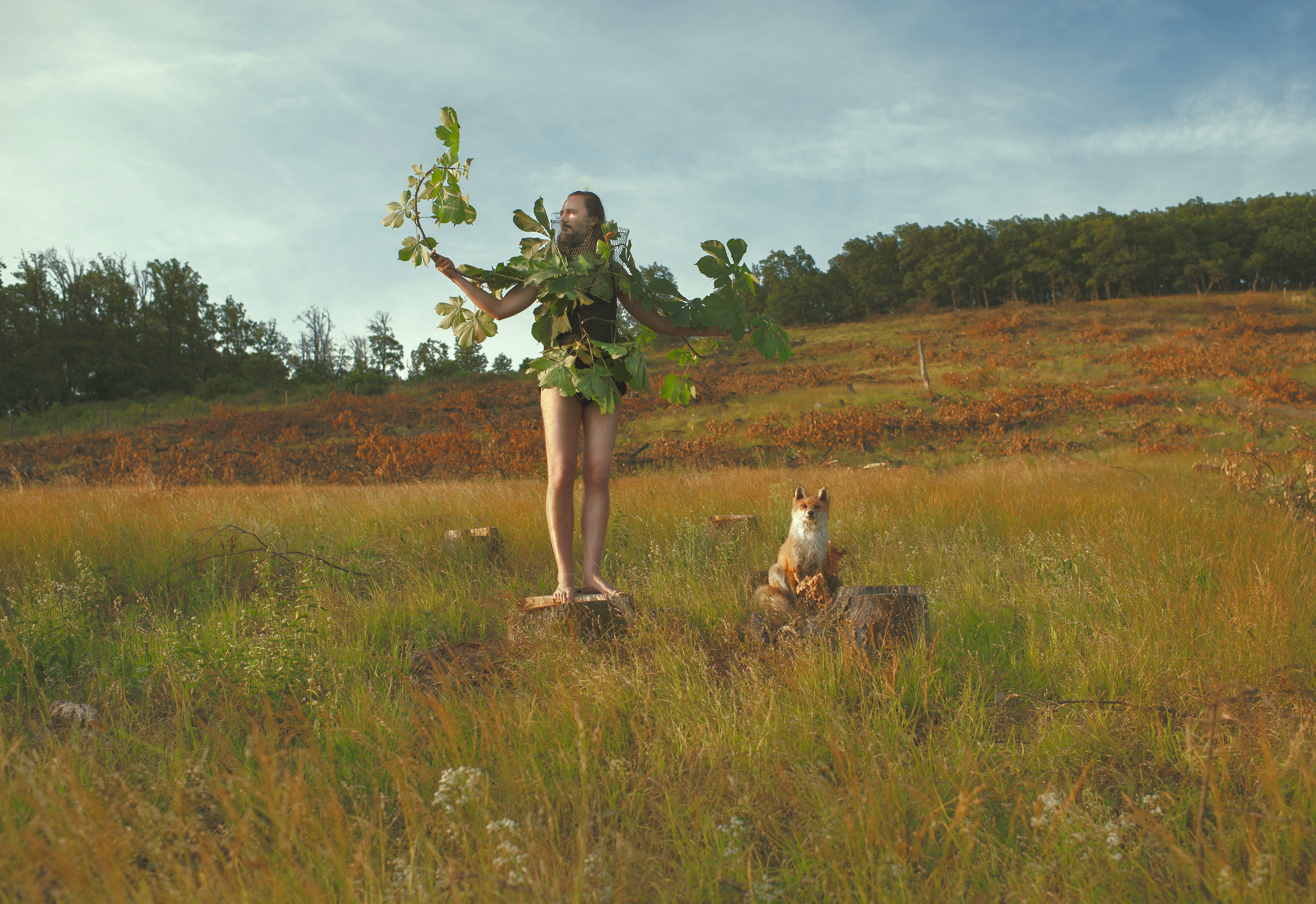 COMMUNITY OF TREES. Photographer and videographer in Norway and Slovakia Andrea Zemko
