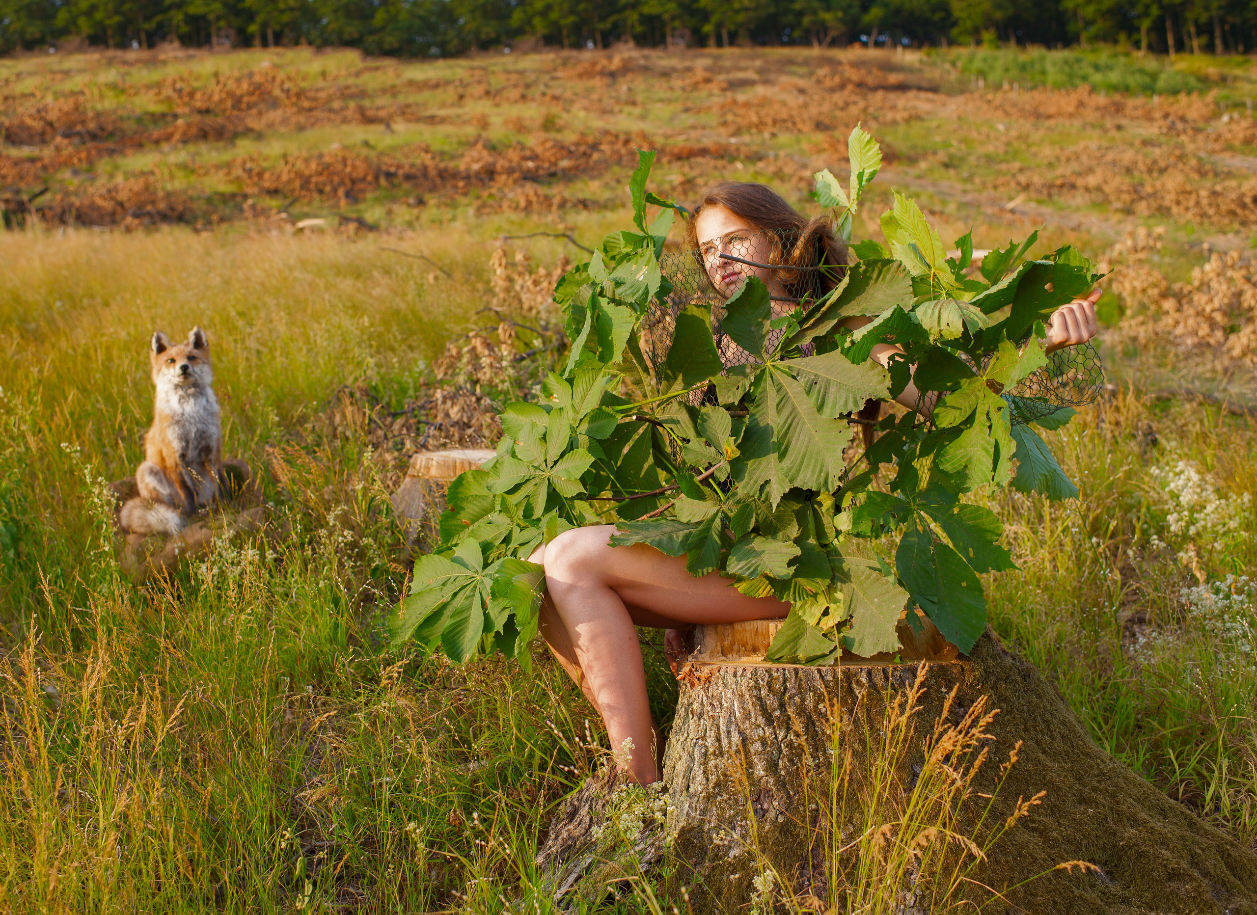 COMMUNITY OF TREES. Photographer and videographer in Norway and Slovakia Andrea Zemko