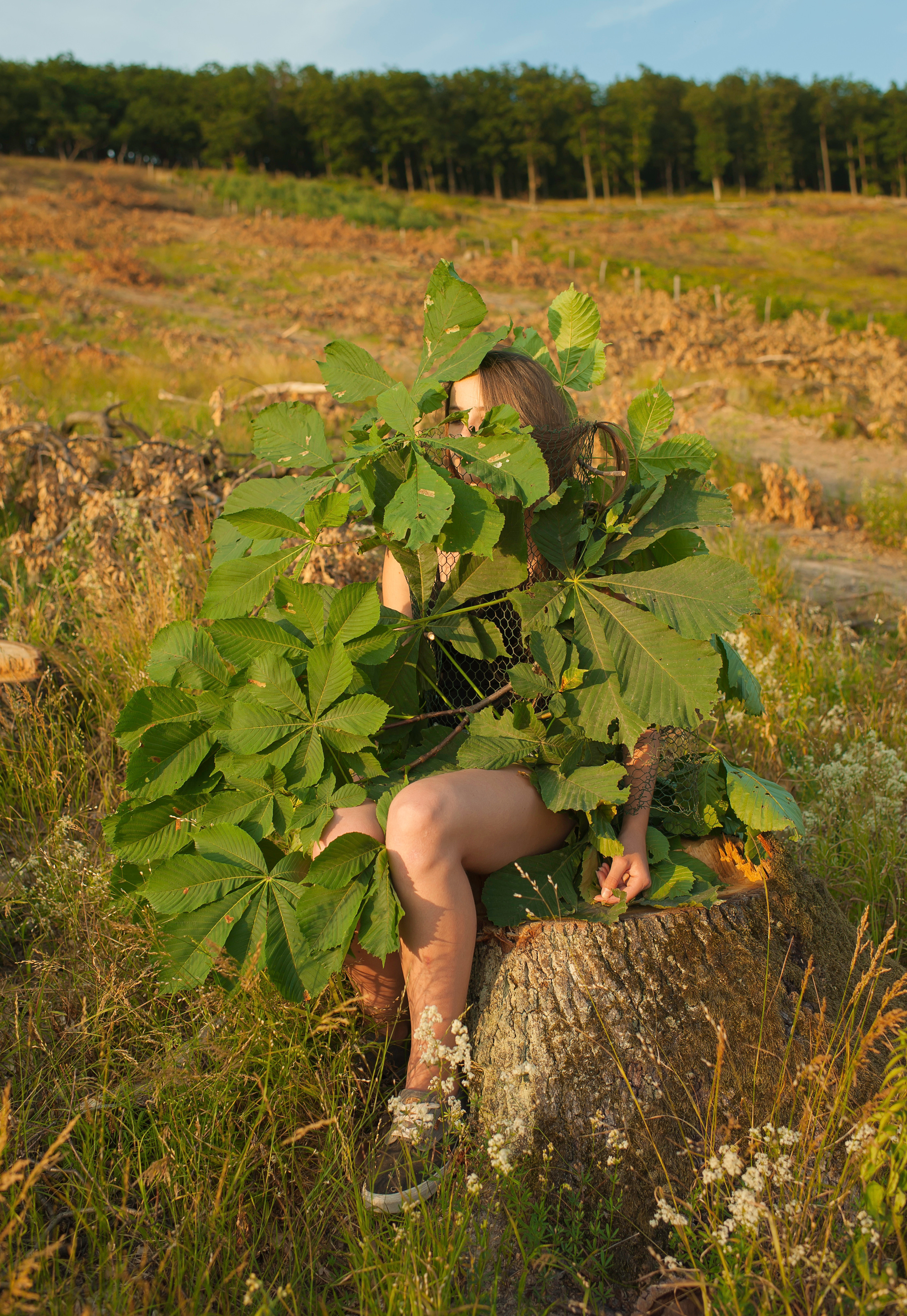 COMMUNITY OF TREES. Photographer and videographer in Norway and Slovakia Andrea Zemko