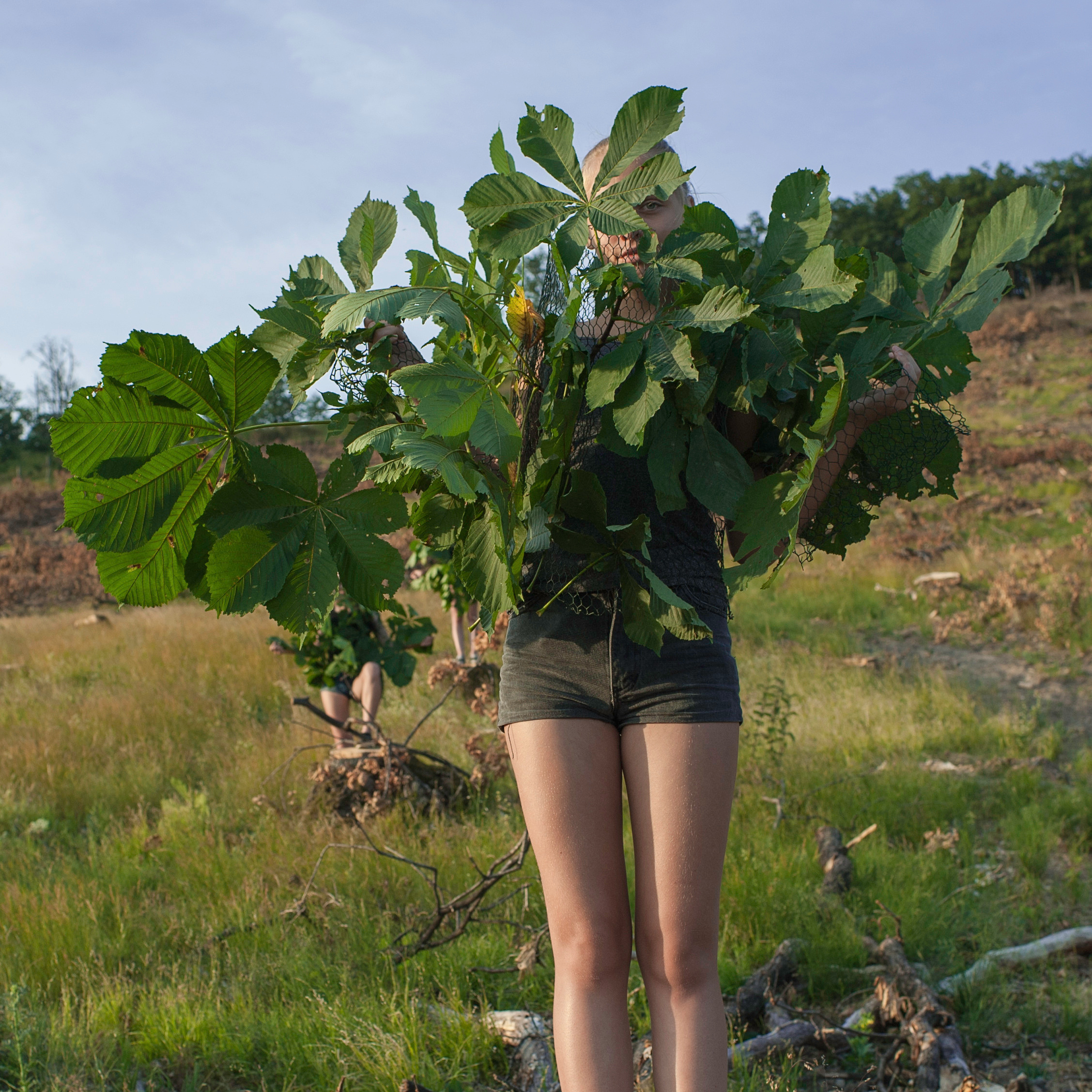 COMMUNITY OF TREES. Photographer and videographer in Norway and Slovakia Andrea Zemko