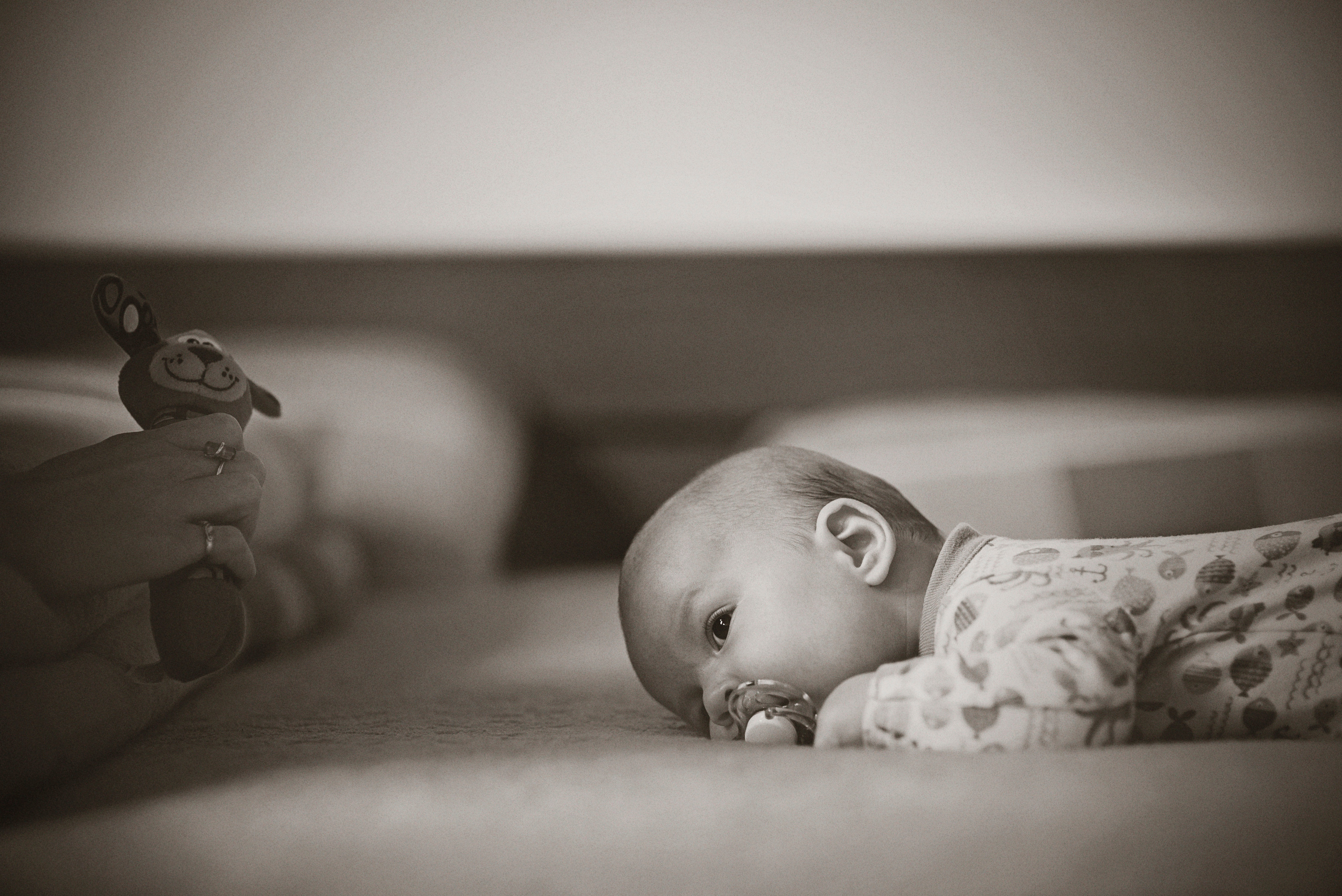 FAMILY URBAN. Photographer and videographer in Norway and Slovakia Andrea Zemko