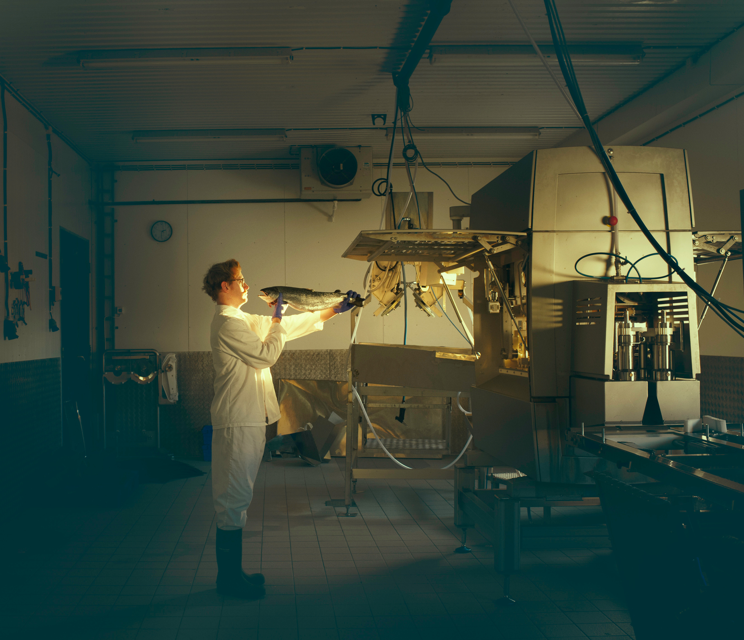 FREEK. Photographer and videographer in Norway and Slovakia Andrea Zemko