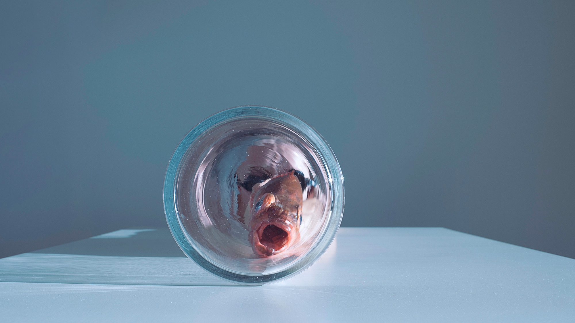 AMORPHOUS. Photographer and videographer in Norway and Slovakia Andrea Zemko