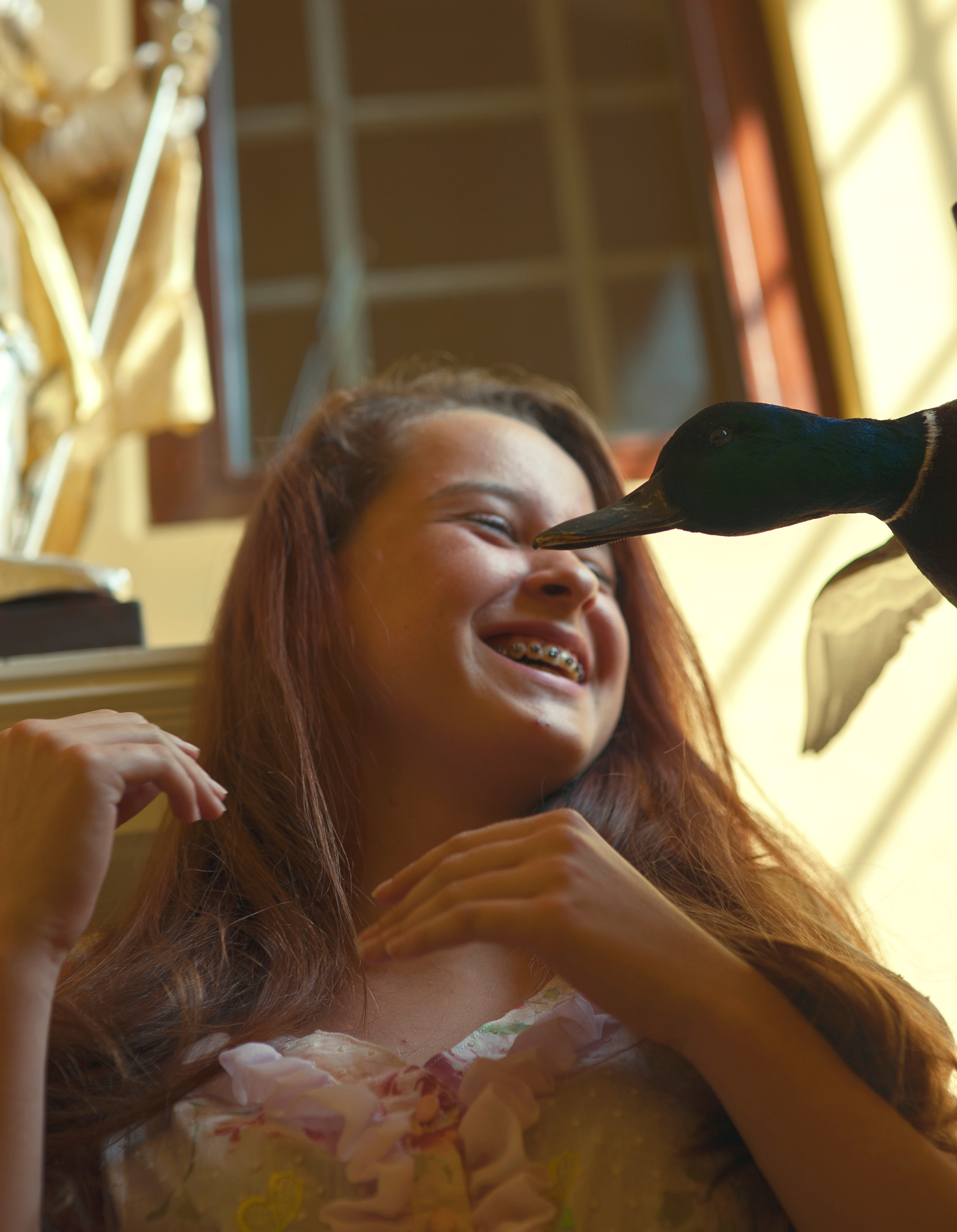 THE HOUSE. Photographer and videographer in Norway and Slovakia Andrea Zemko