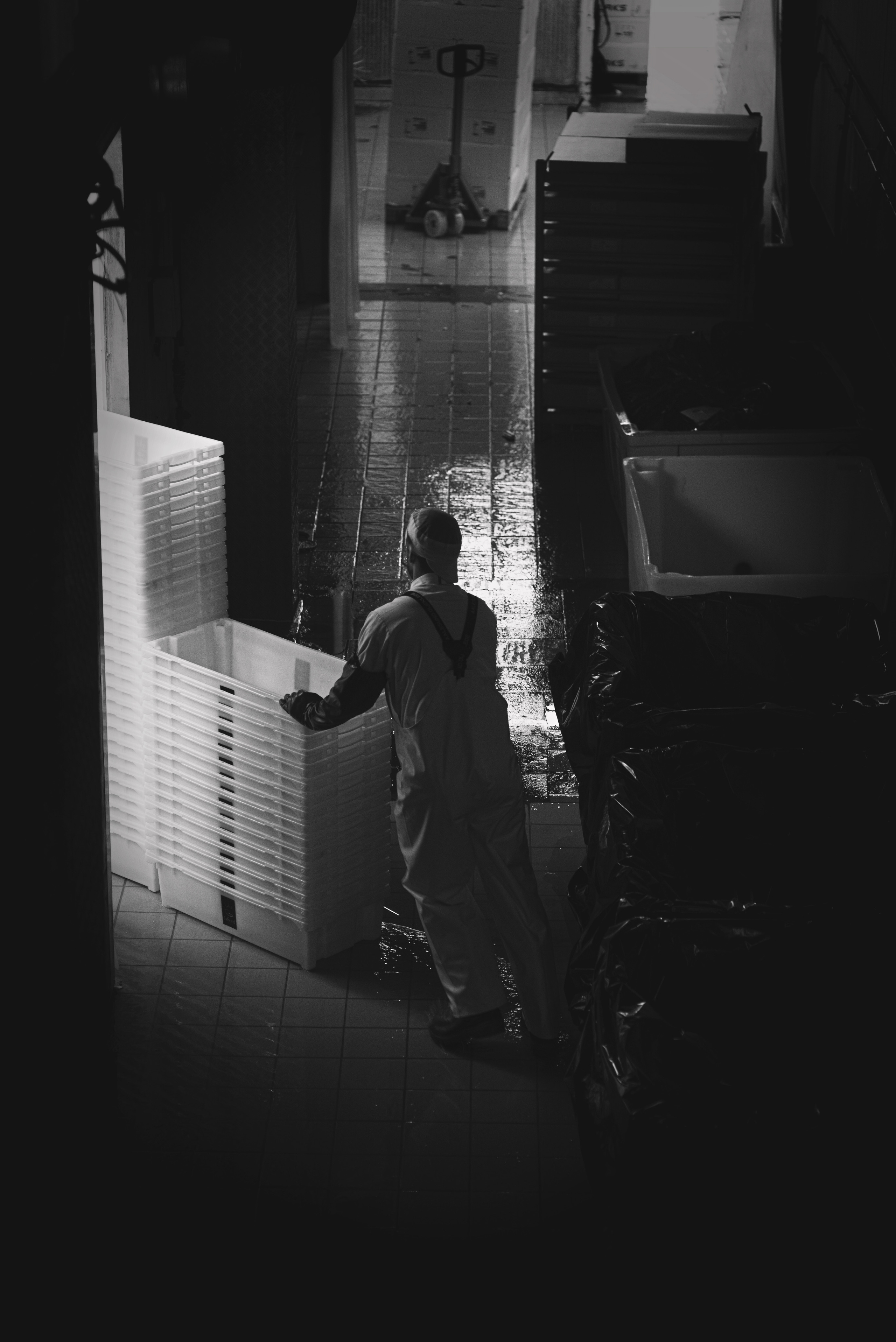 ISFJORD NORWAY AS. Photographer and videographer in Norway and Slovakia Andrea Zemko