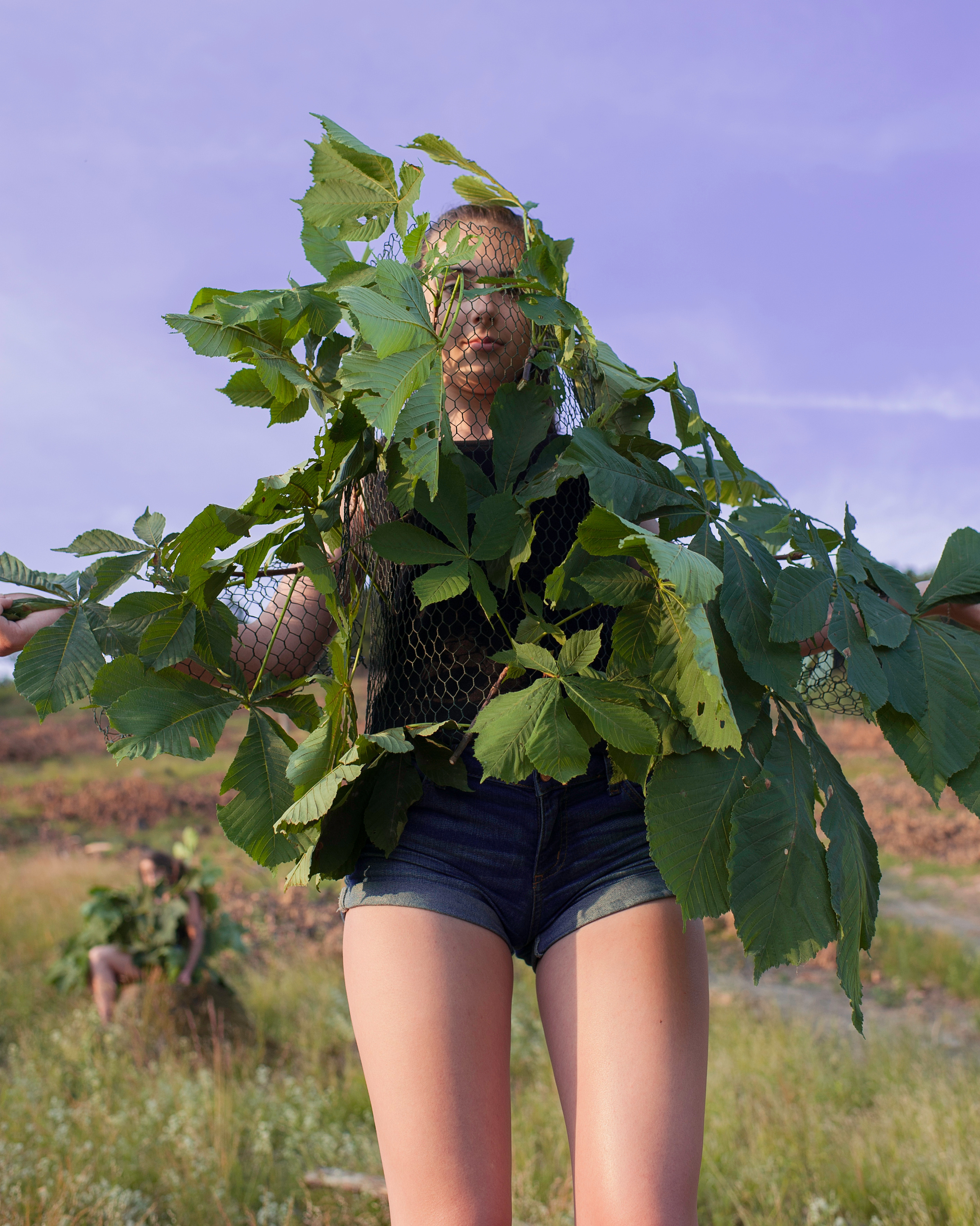 COMMUNITY OF TREES. Photographer and videographer in Norway and Slovakia Andrea Zemko