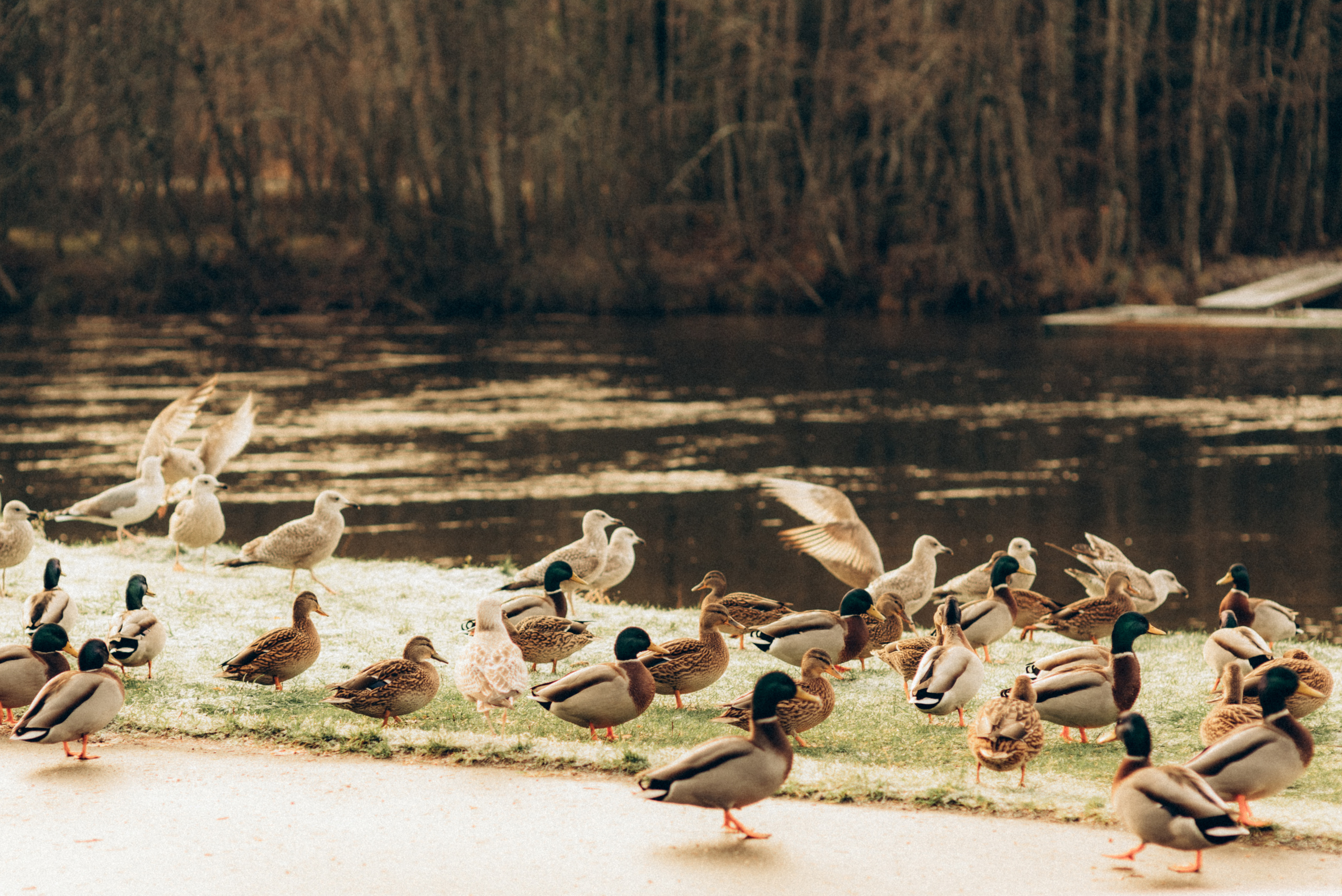 PETRA & TAMARA. Photographer and videographer in Norway and Slovakia Andrea Zemko