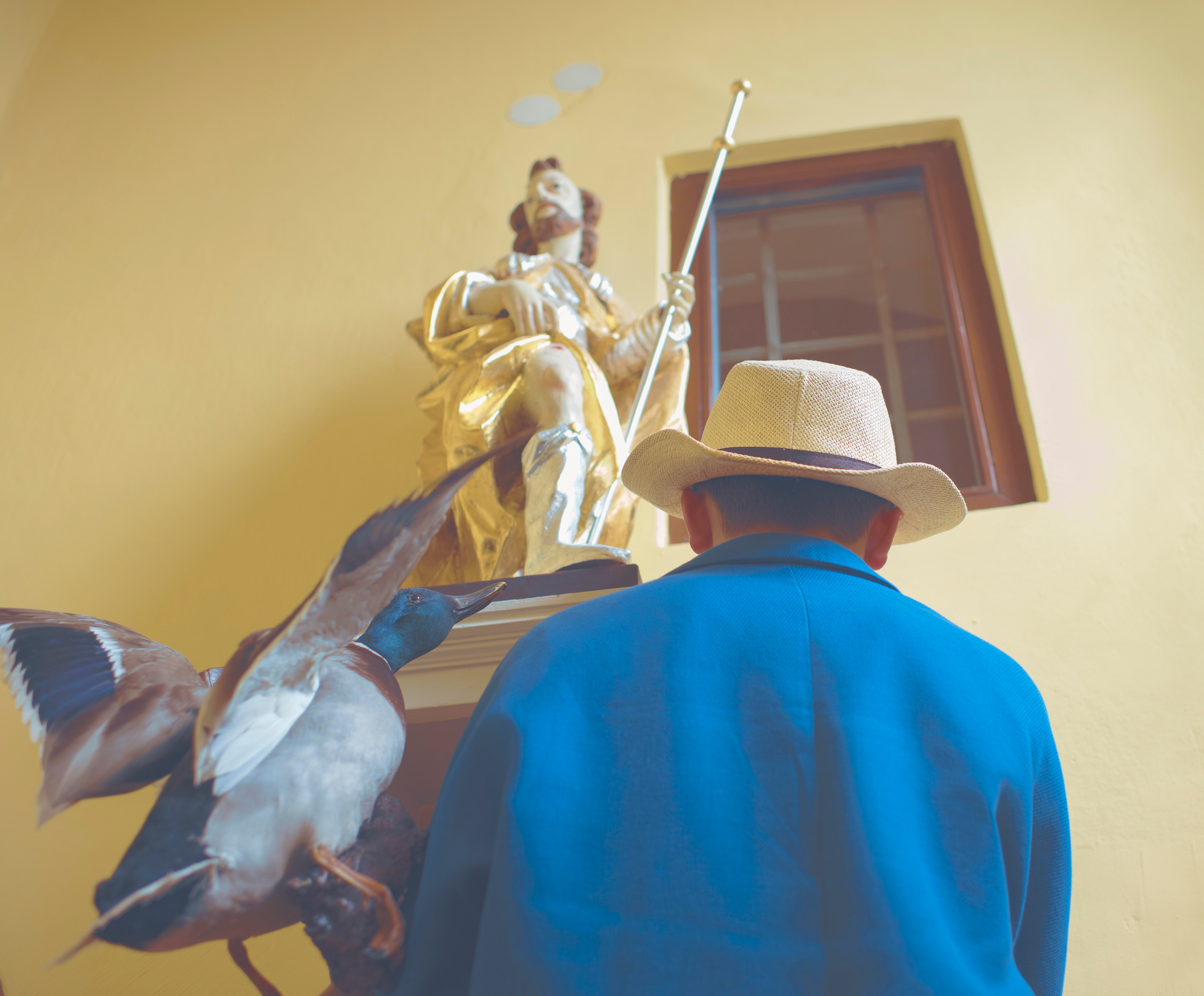 THE HOUSE. Photographer and videographer in Norway and Slovakia Andrea Zemko