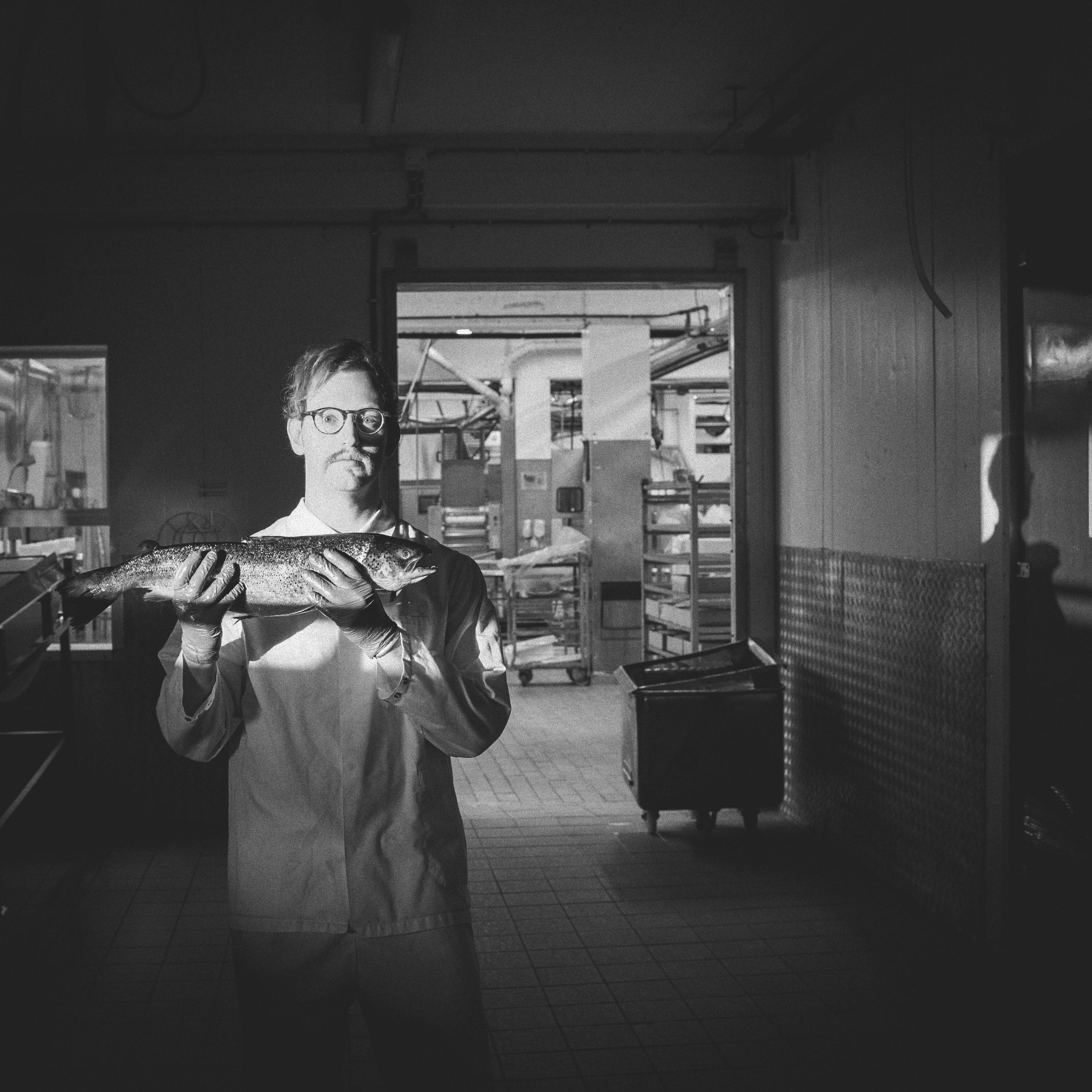 FREEK. Photographer and videographer in Norway and Slovakia Andrea Zemko