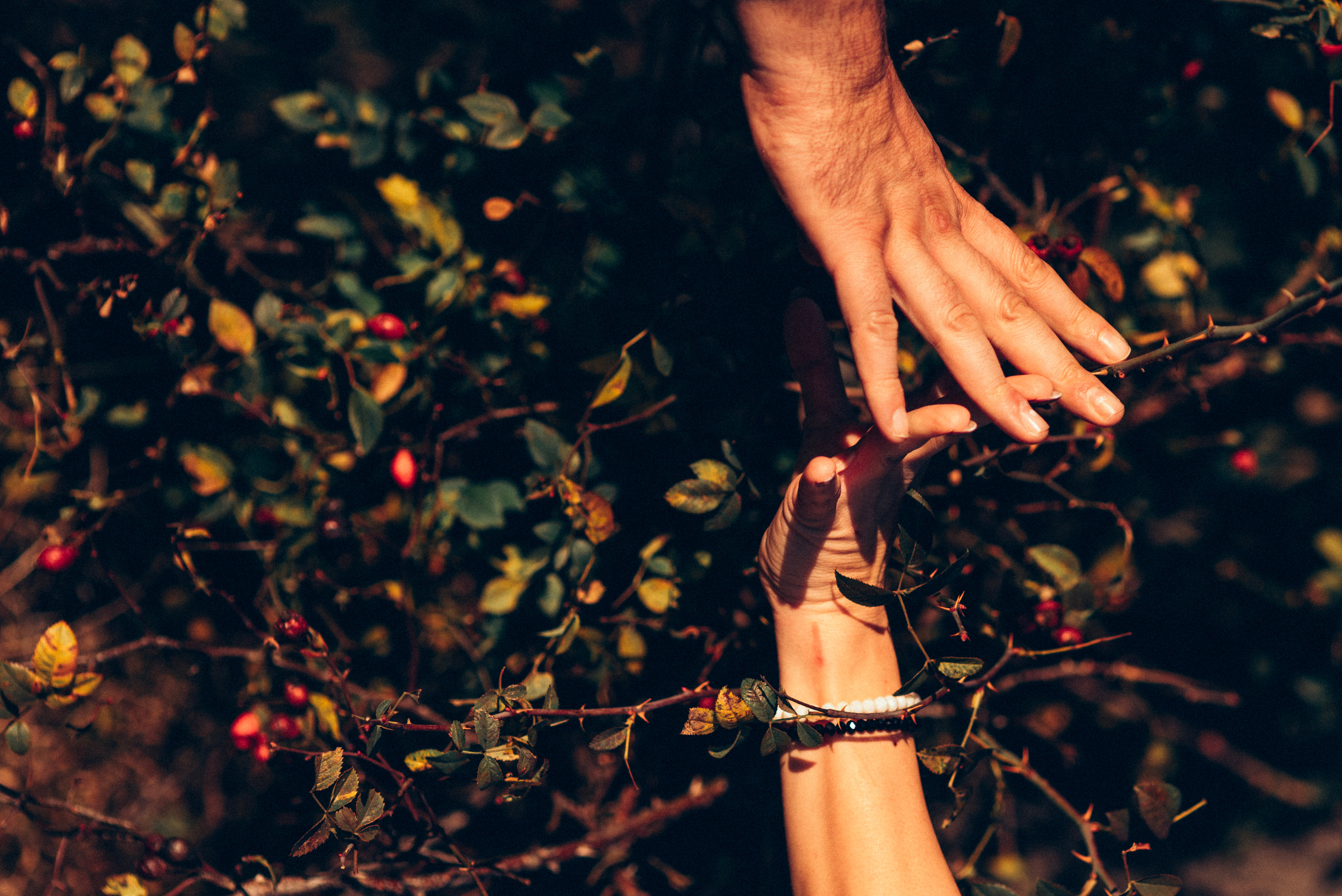 ANDREA & MIRO. Photographer and videographer in Norway and Slovakia Andrea Zemko