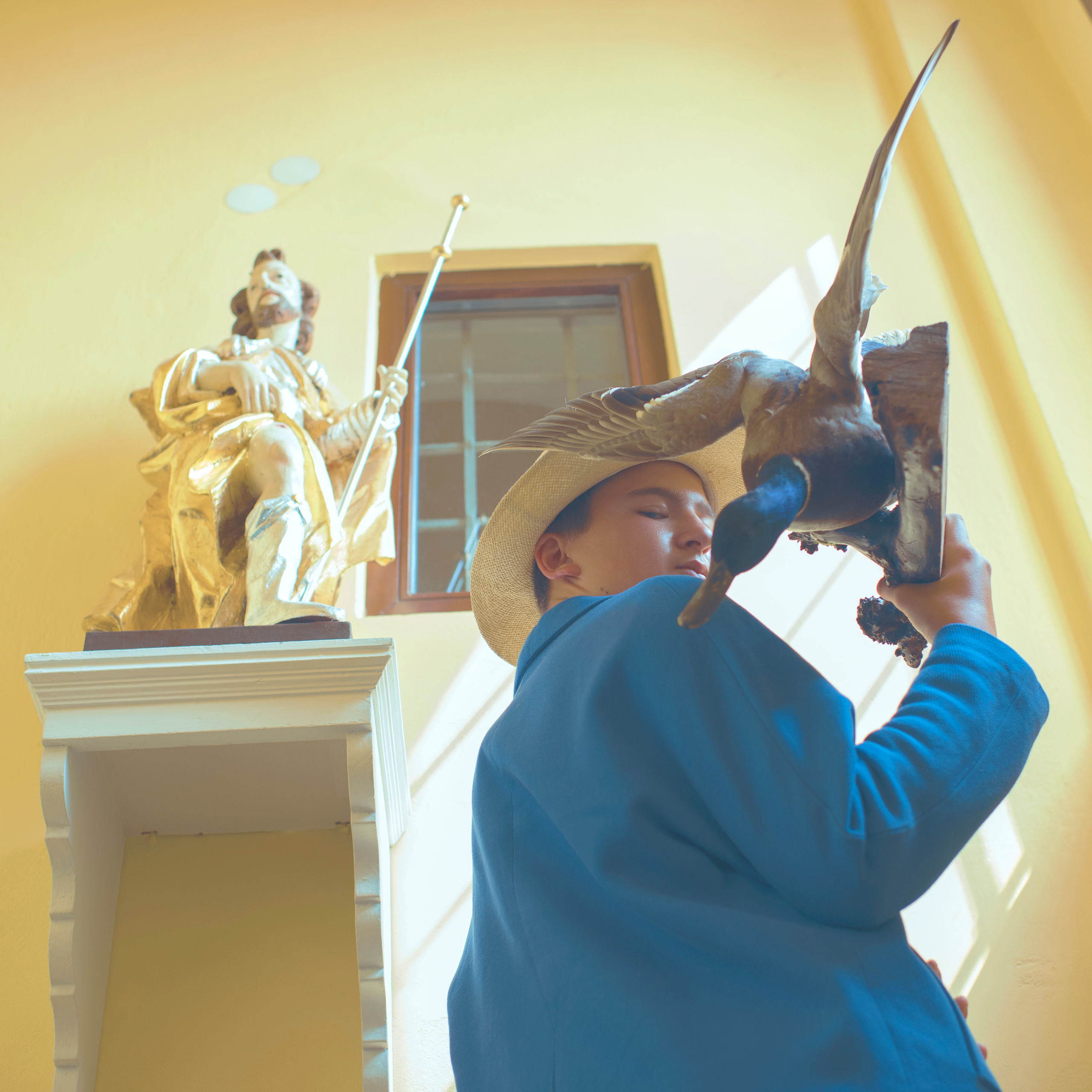 THE HOUSE. Photographer and videographer in Norway and Slovakia Andrea Zemko