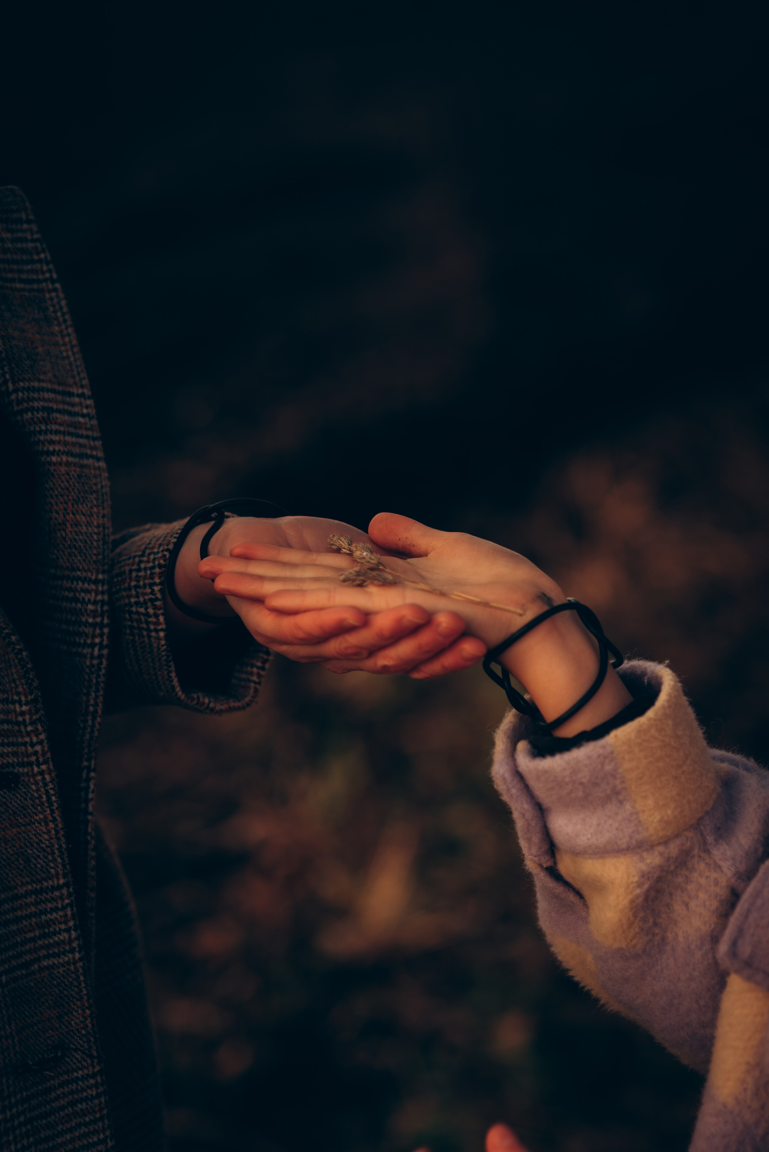 PETRA & TAMARA. Photographer and videographer in Norway and Slovakia Andrea Zemko