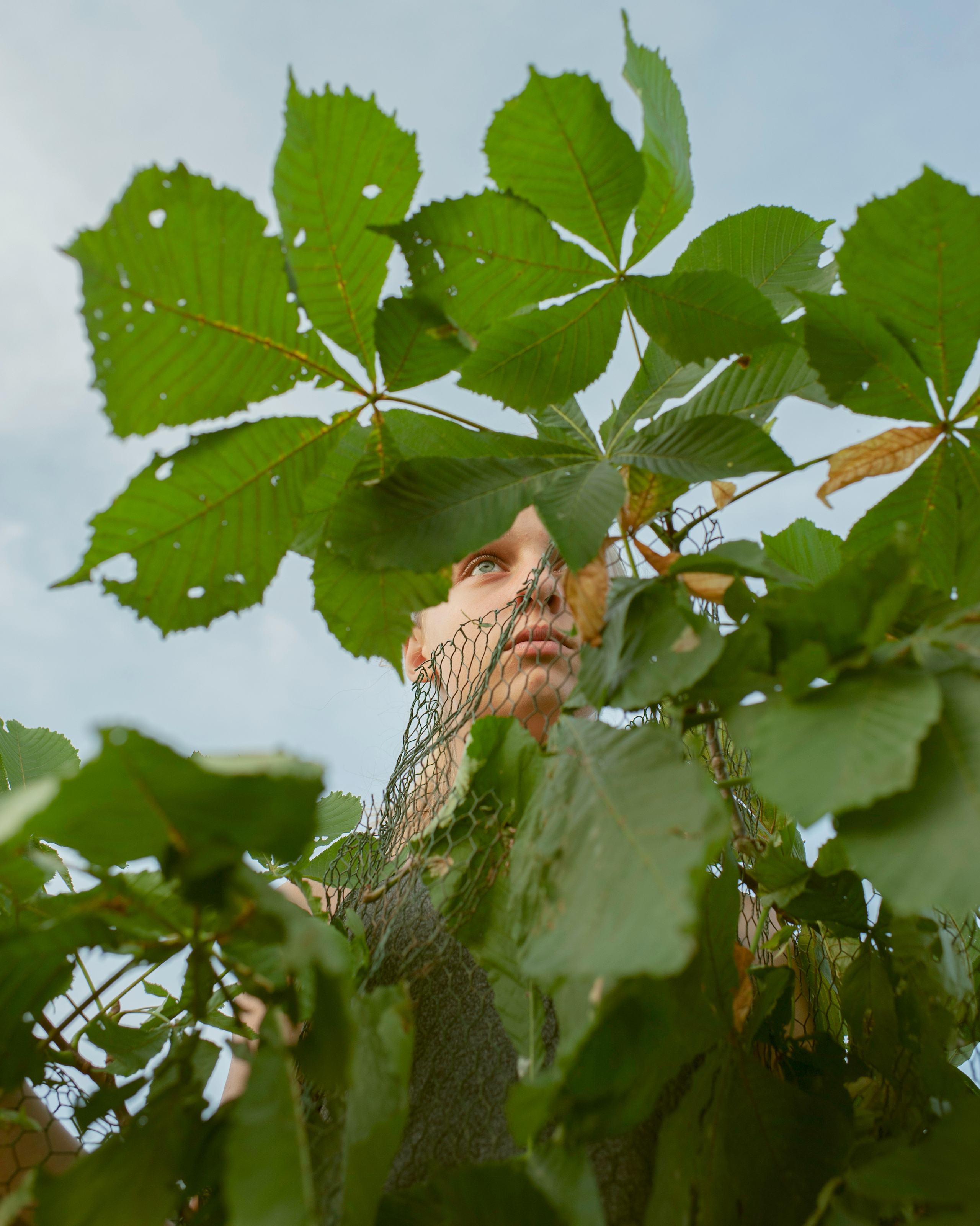 COMMUNITY OF TREES. Photographer and videographer in Norway and Slovakia Andrea Zemko