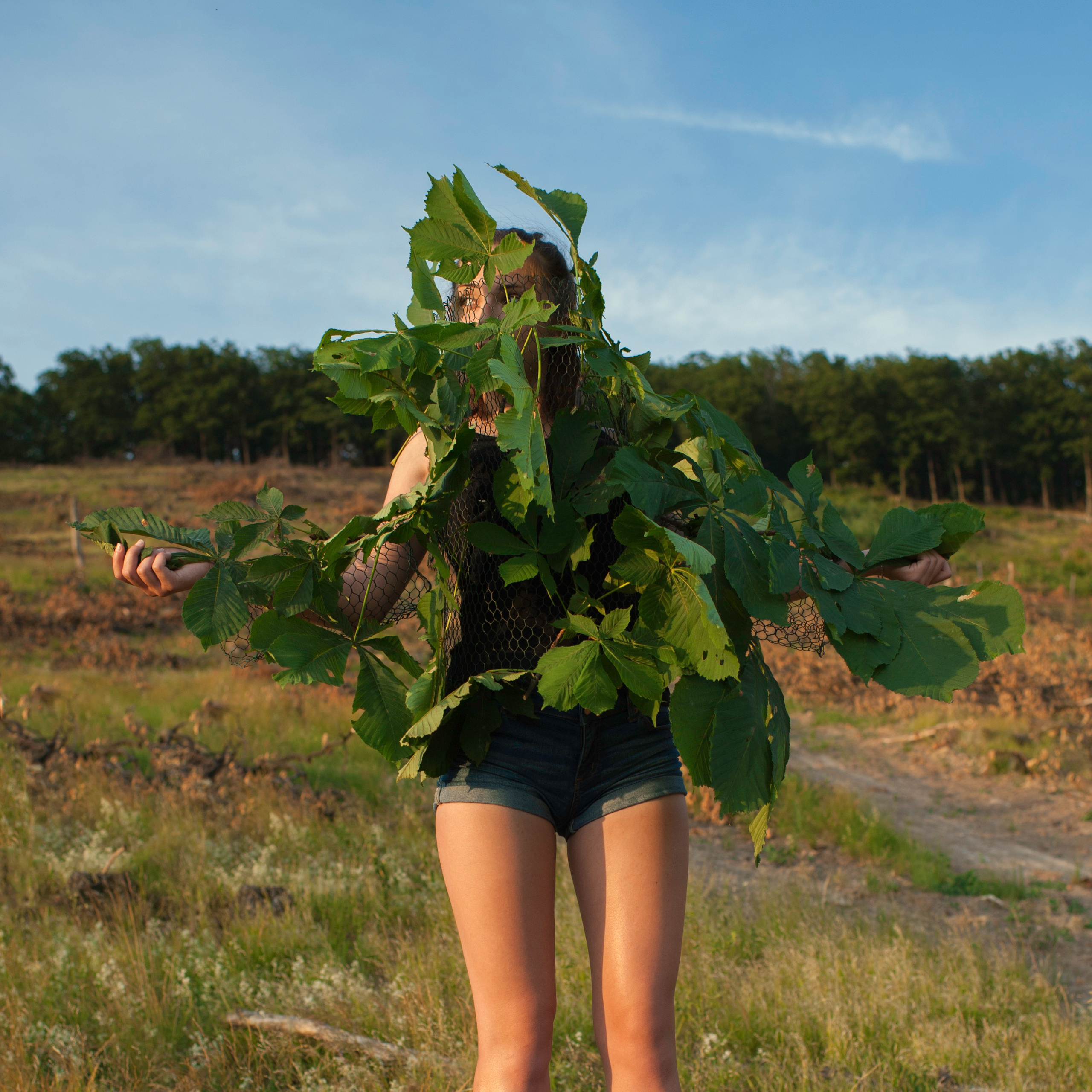 COMMUNITY OF TREES. Photographer and videographer in Norway and Slovakia Andrea Zemko