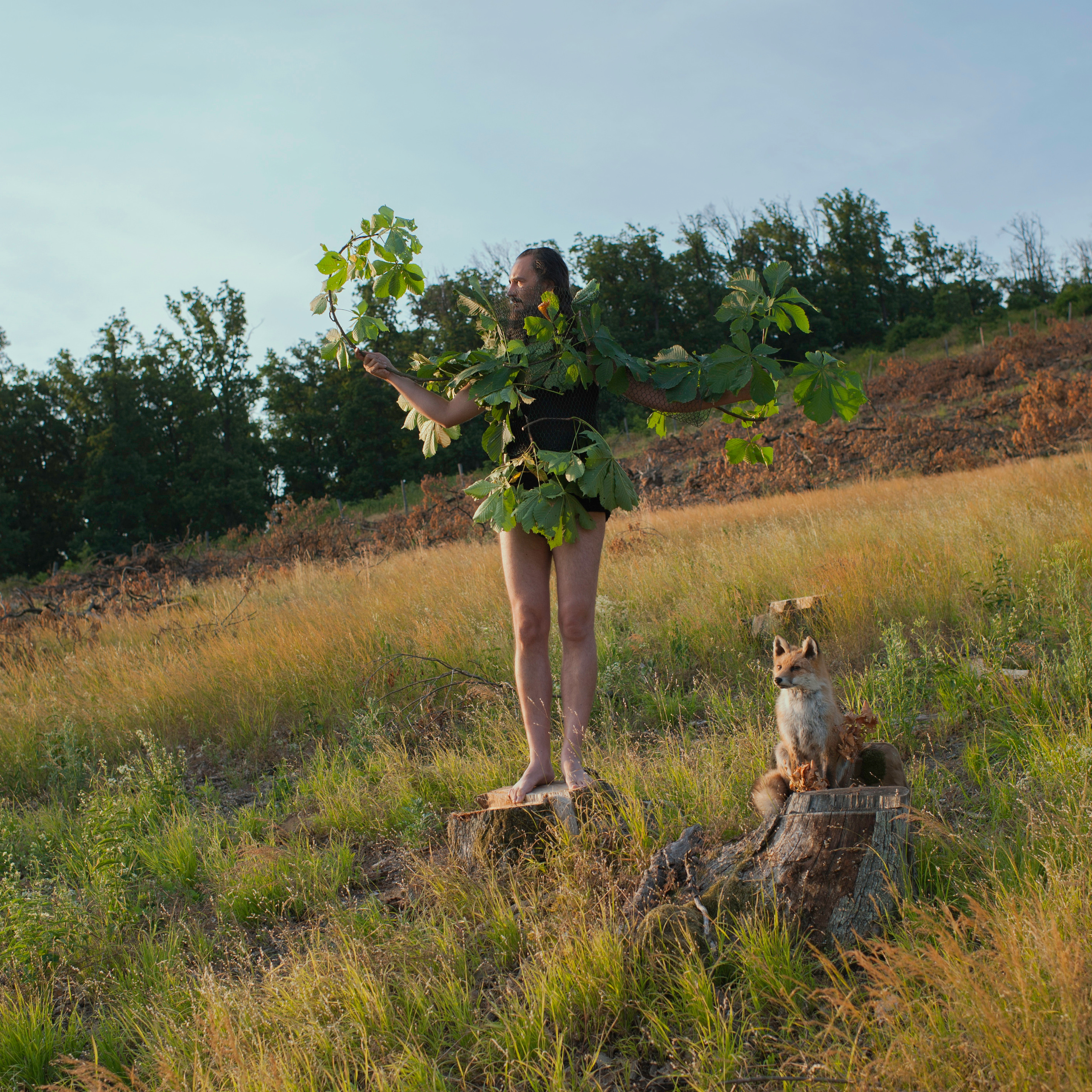 COMMUNITY OF TREES. Photographer and videographer in Norway and Slovakia Andrea Zemko