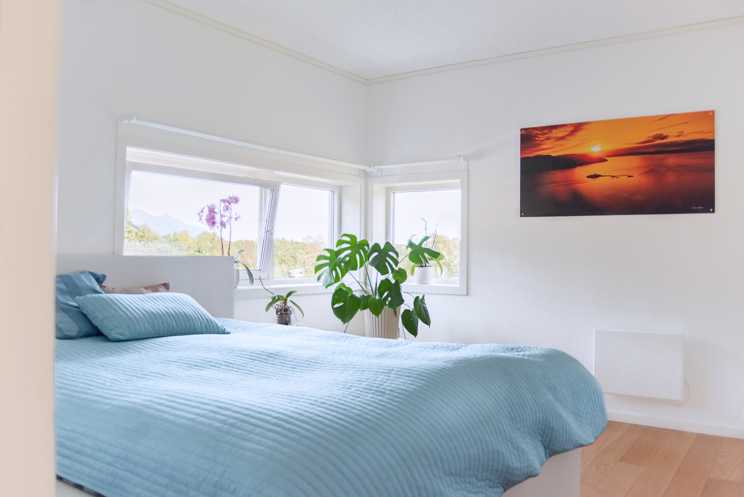 GJØLMESALLEN 52. Photographer and videographer in Norway and Slovakia Andrea Zemko