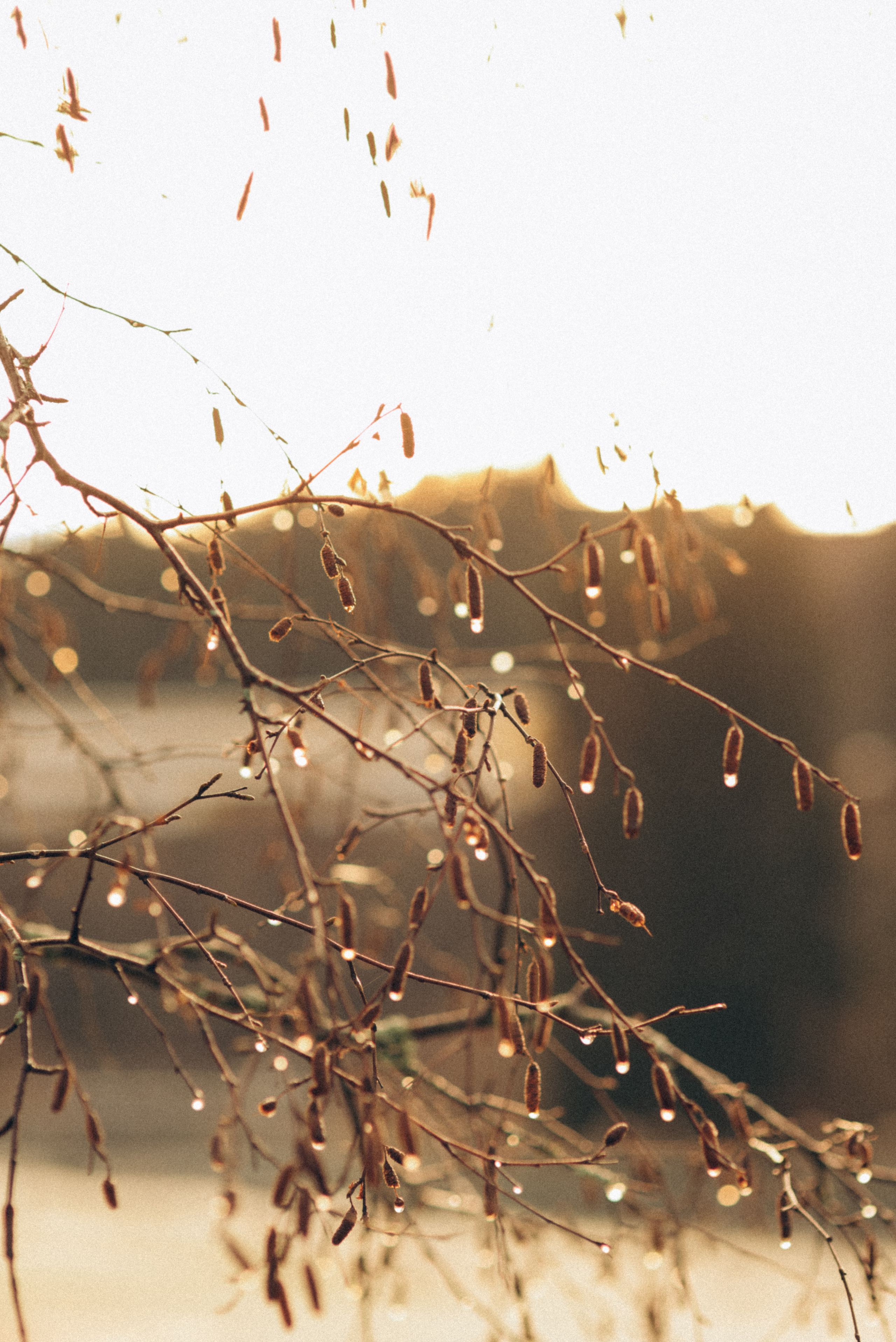 PETRA & TAMARA. Photographer and videographer in Norway and Slovakia Andrea Zemko