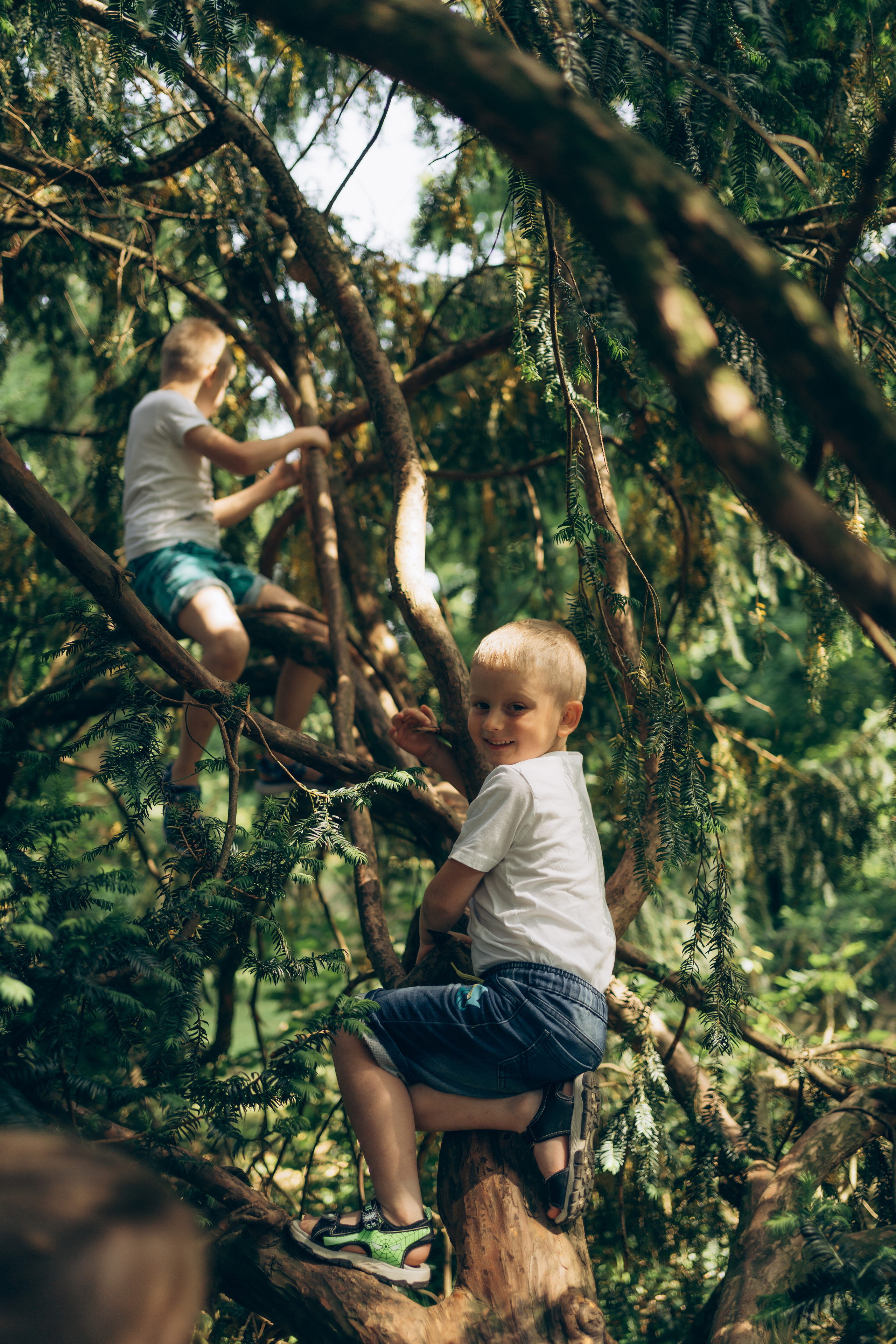 FAMILY KAJAN. Photographer and videographer in Norway and Slovakia Andrea Zemko