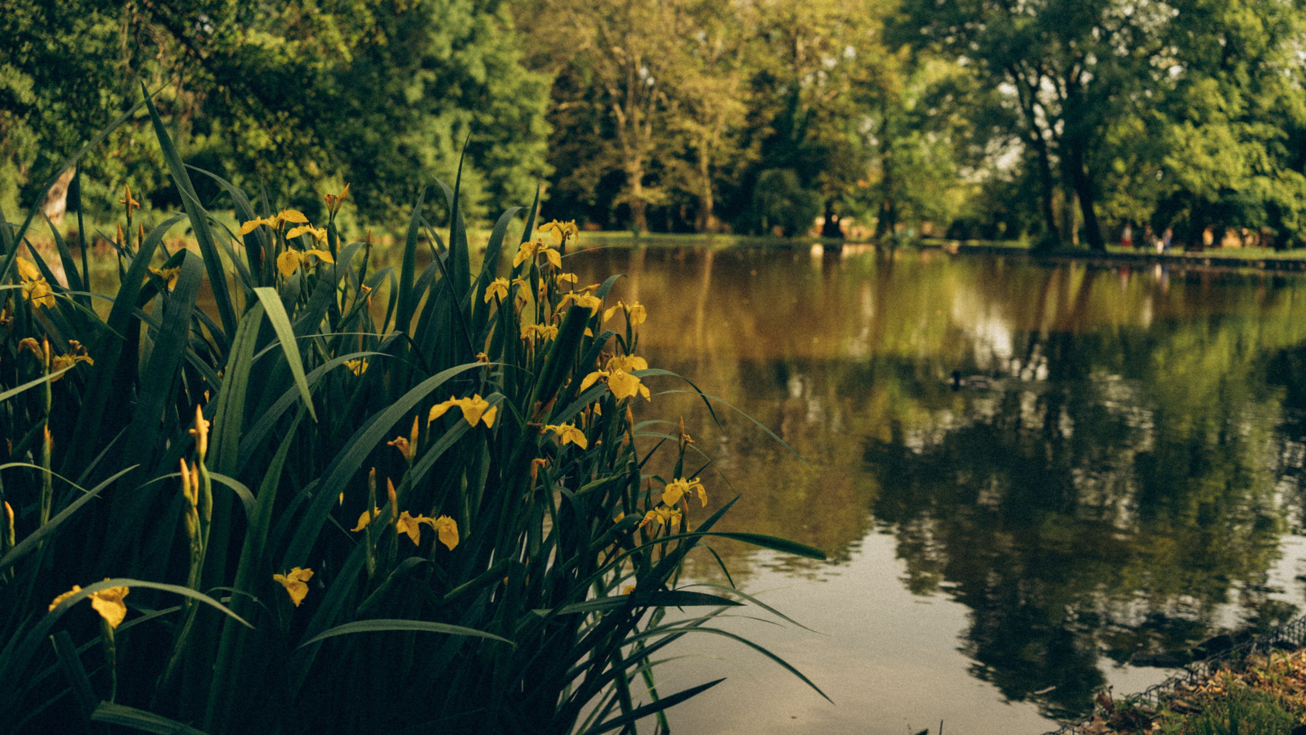 FAMILY MAZAN. Photographer and videographer in Norway and Slovakia Andrea Zemko