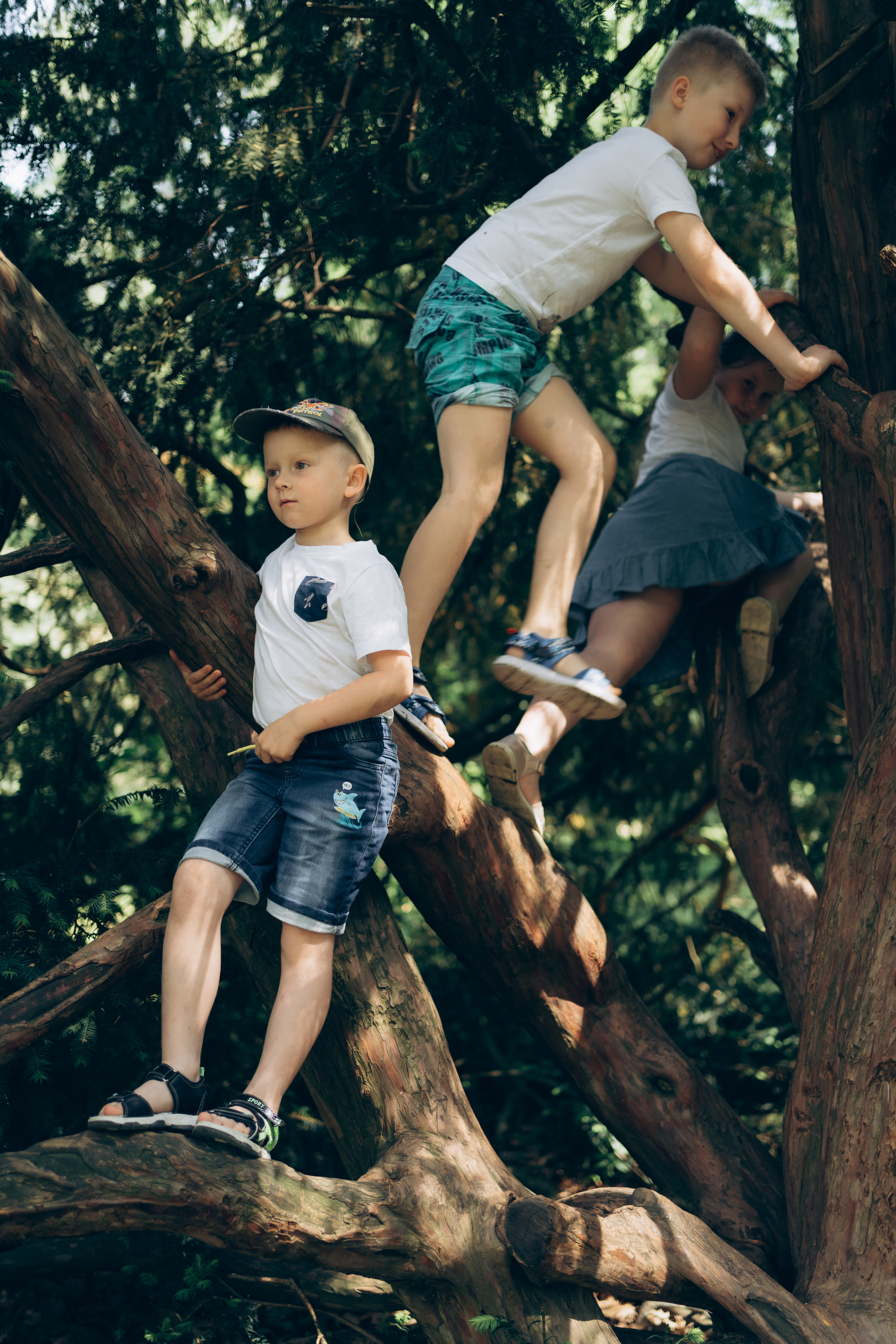 FAMILY KAJAN. Photographer and videographer in Norway and Slovakia Andrea Zemko