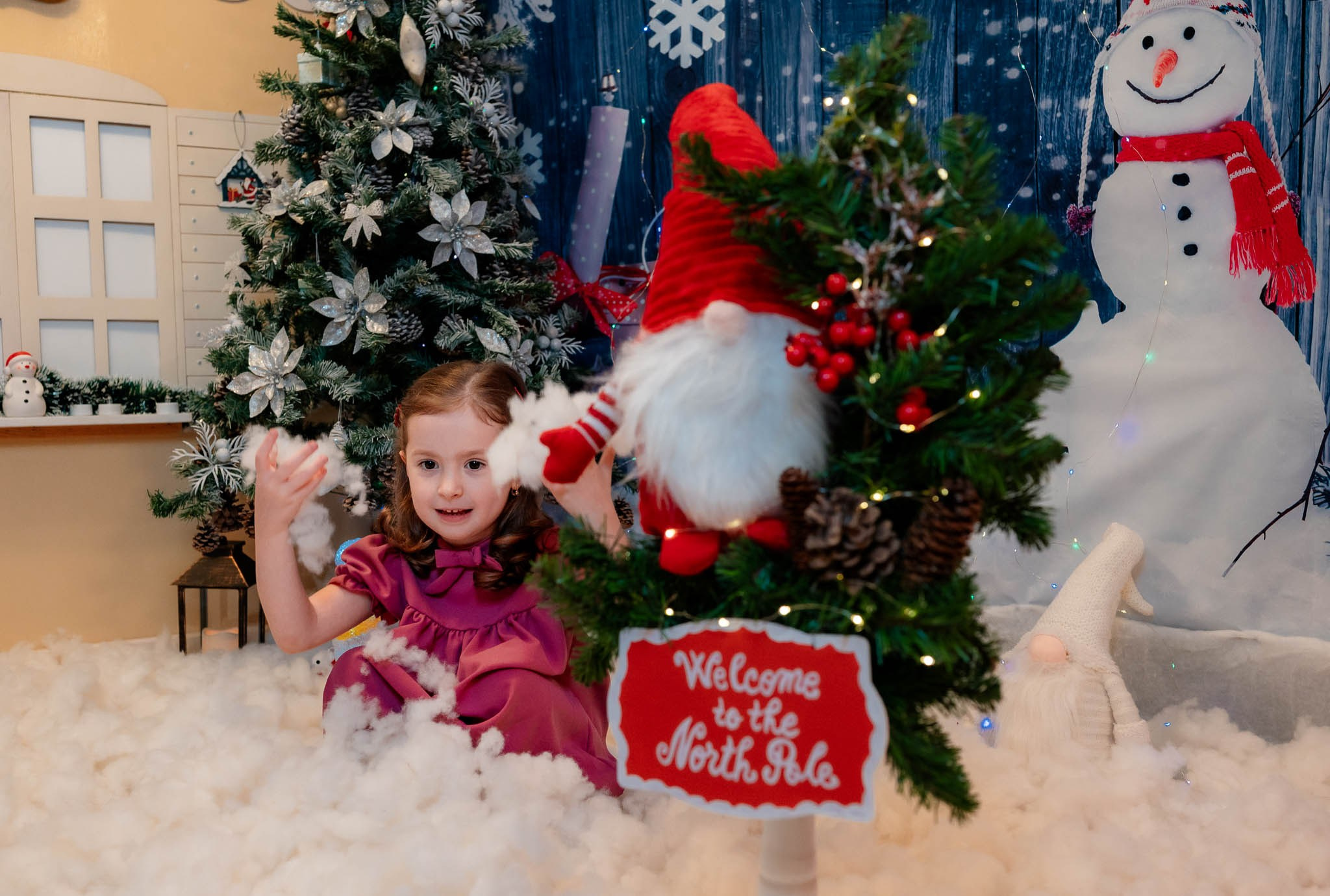 Sedinta Craciun Nicoleta