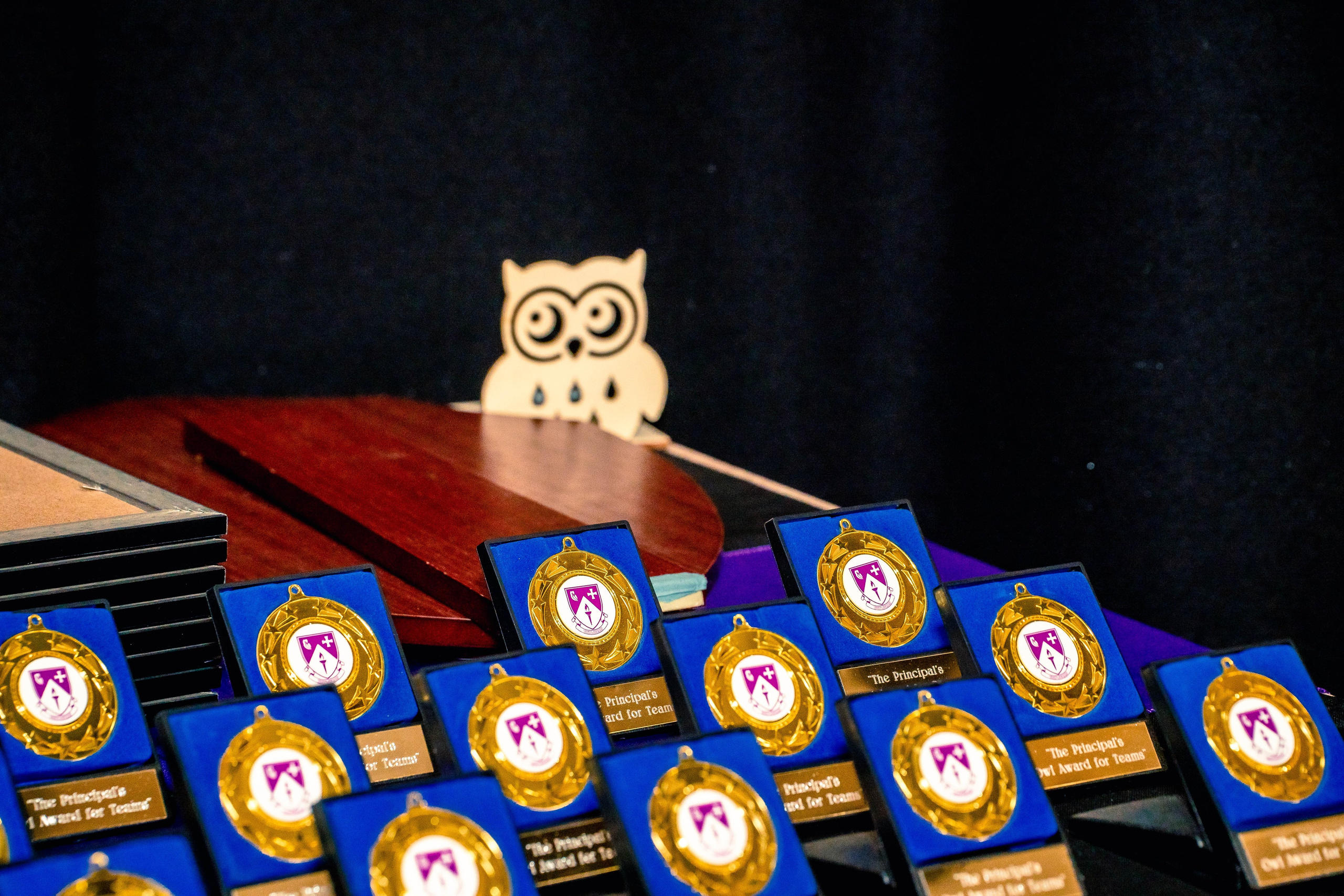 The Owl Society. Expect Miracles Photography by Kate & Andrew