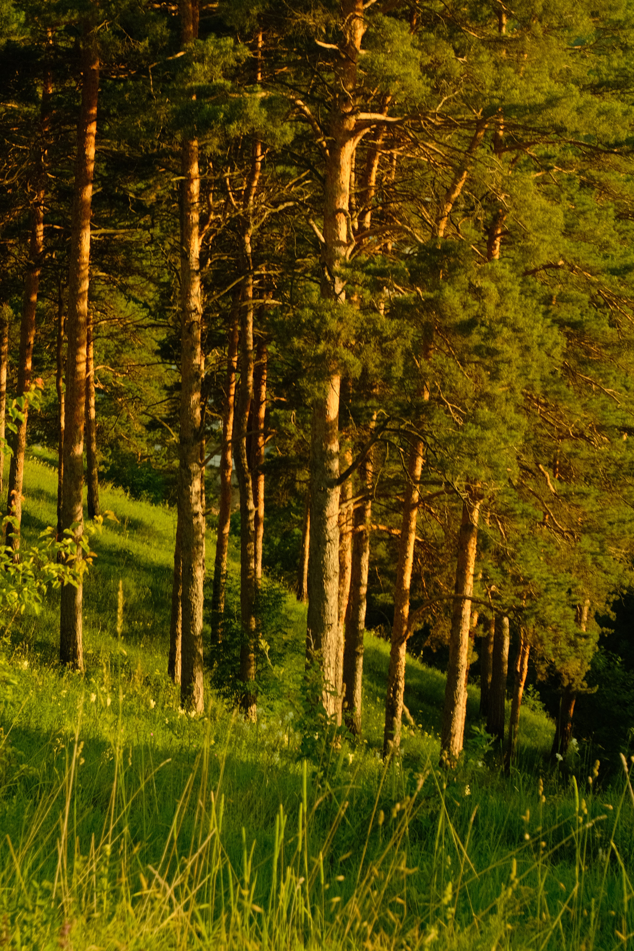 Caucasus & Elbrus. Nikita Pavlov, Photographer — Vienna, Austria