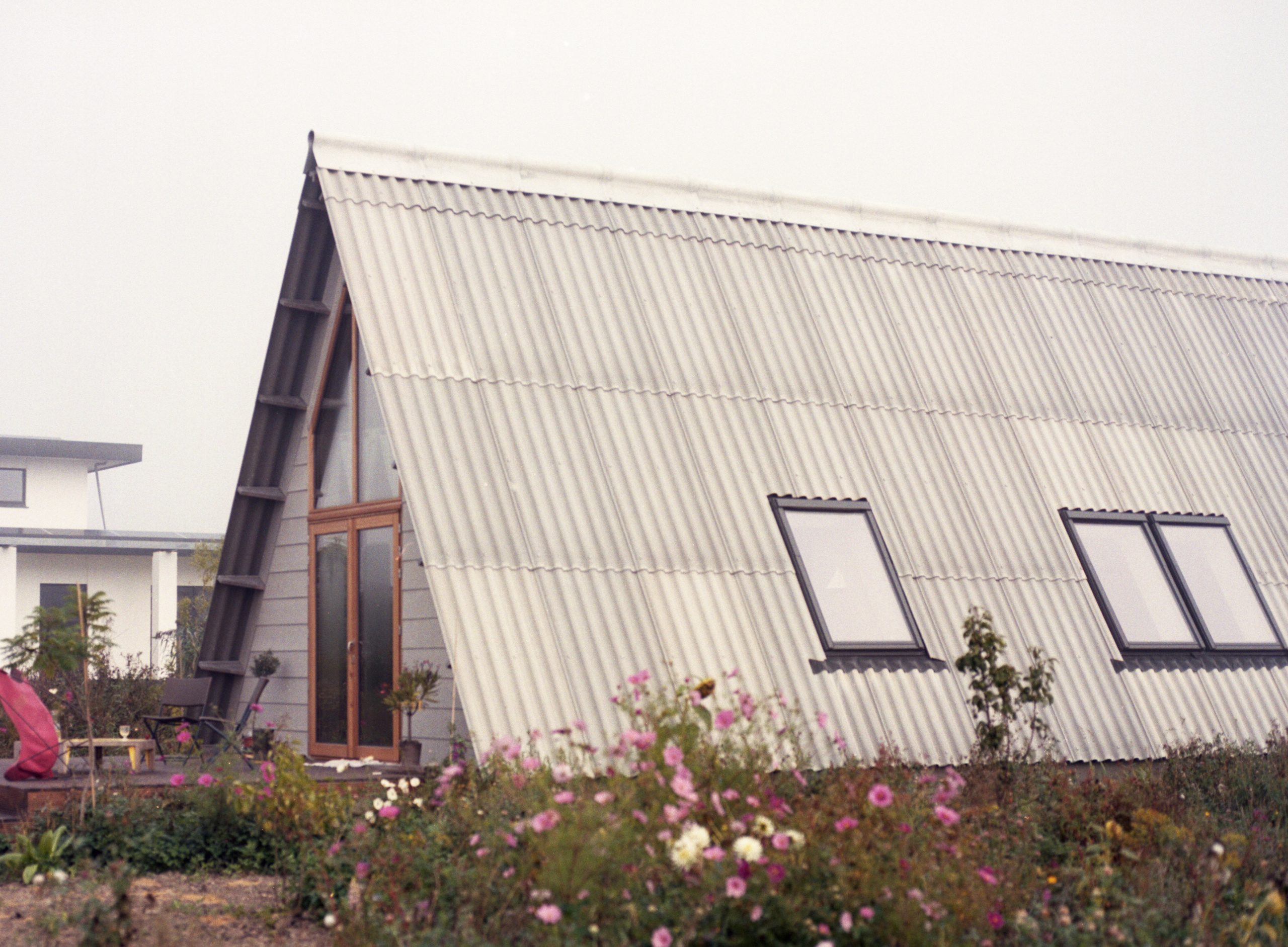 Oosterwold. Fotograaf Amsterdam - Victoria Ushkanova