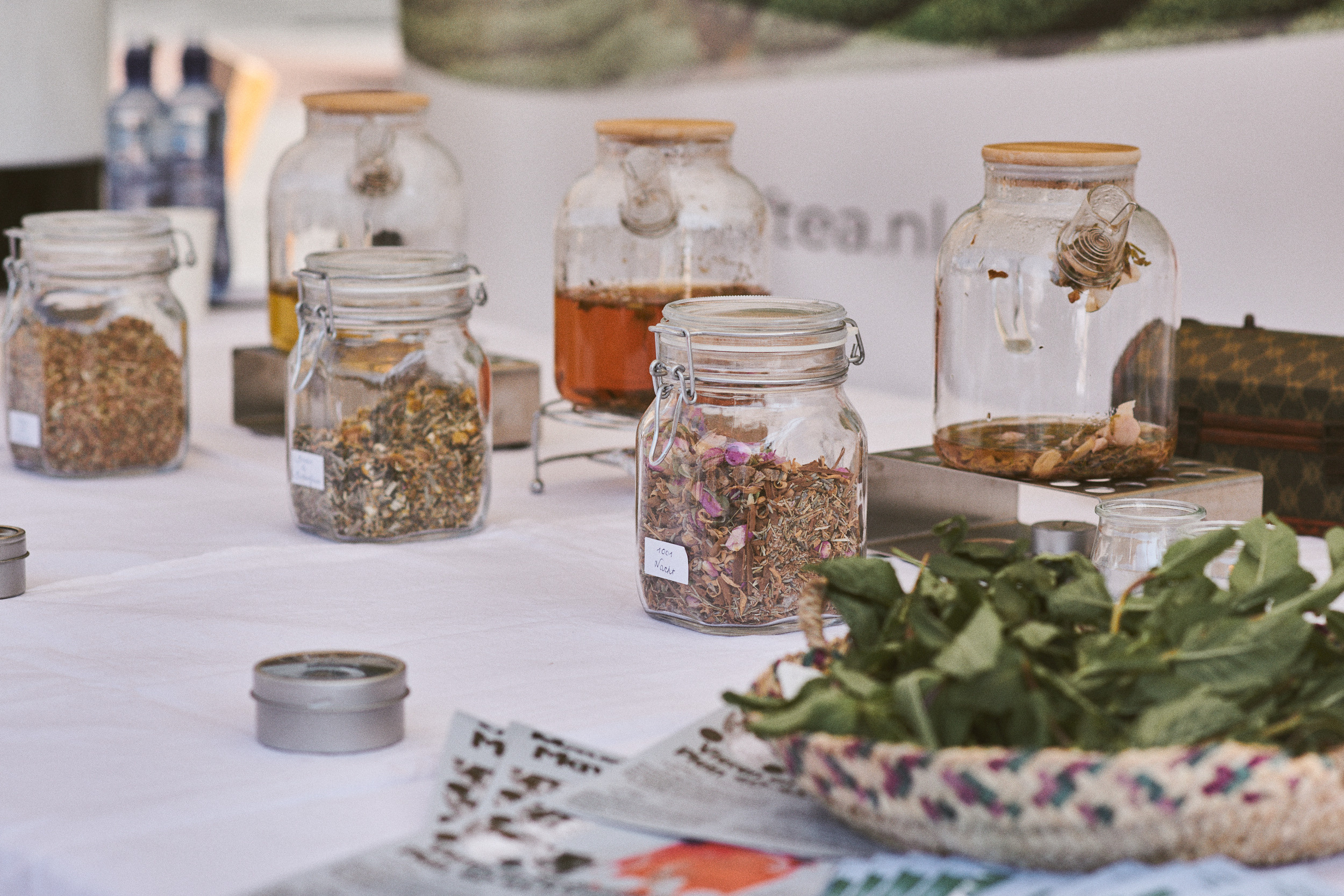 Documentary photoshoot of Maydan Festival 2022. Portrait Photographer in Brussels & Amsterdam — Victoria Ushkanova