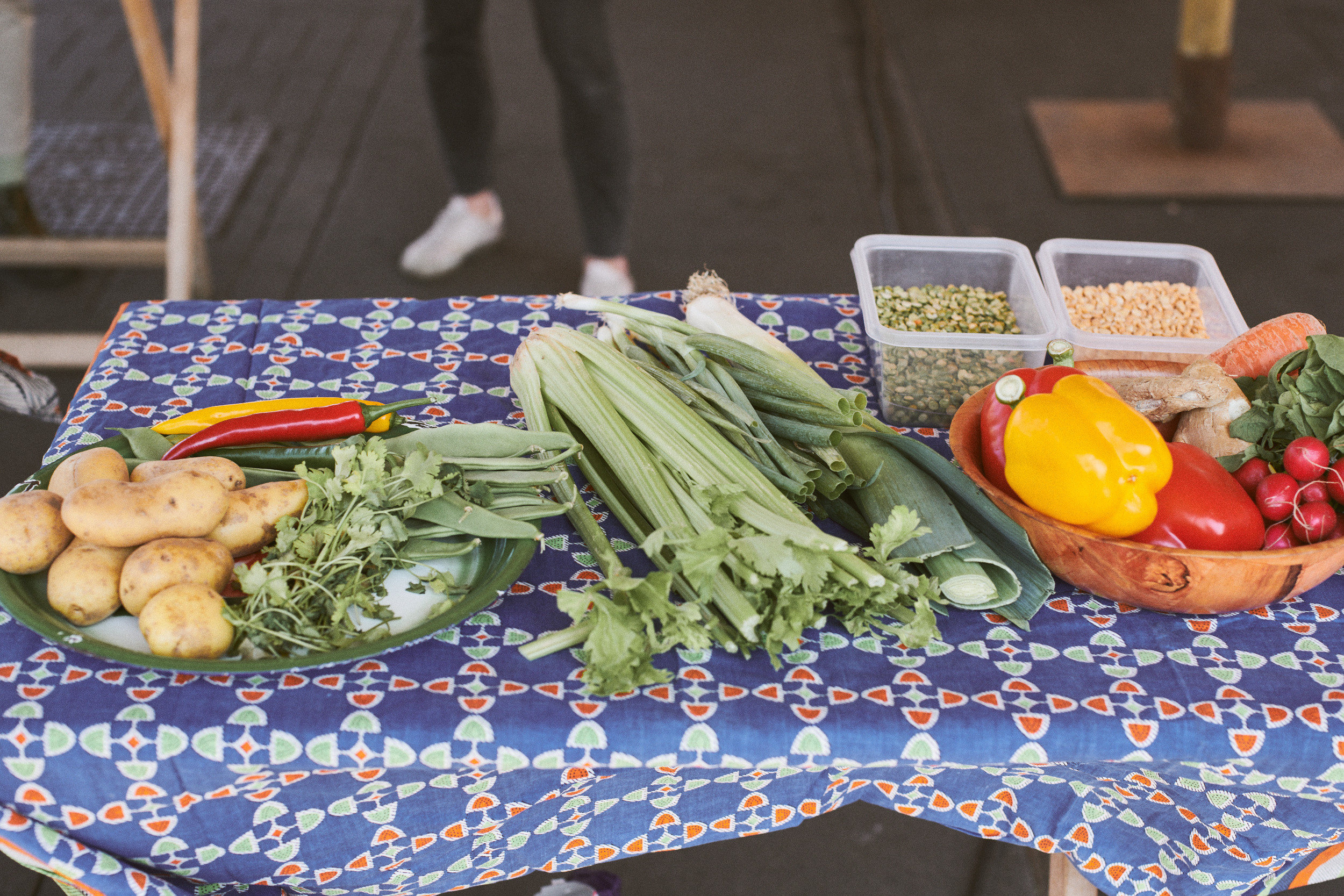 Documentary photoshoot of Maydan Festival 2022. Portrait Photographer in Brussels & Amsterdam — Victoria Ushkanova