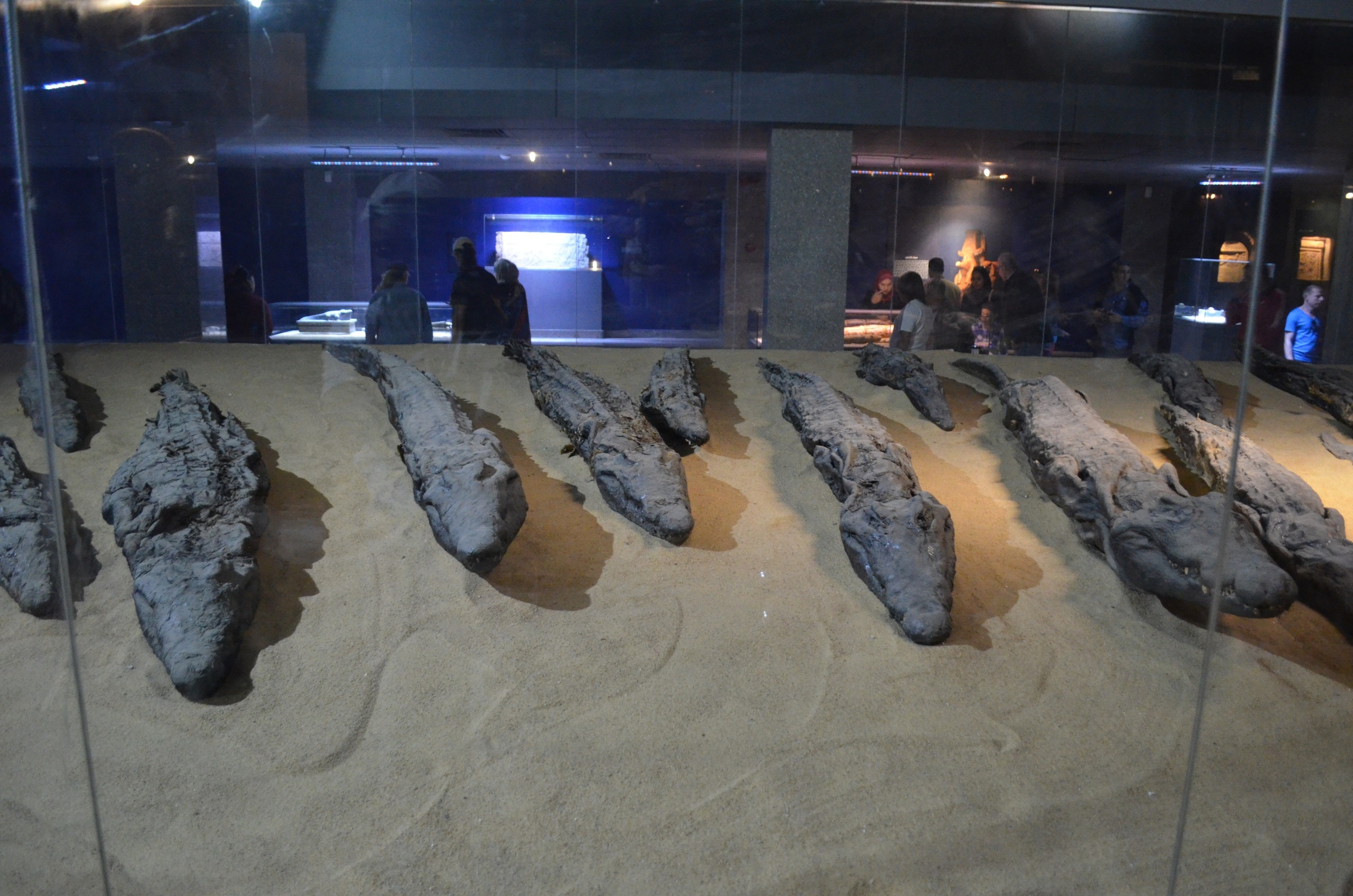 Croisière sur le Nil. Milok et Kirok sont des gens positifs et réels. Nous serons ravis de v