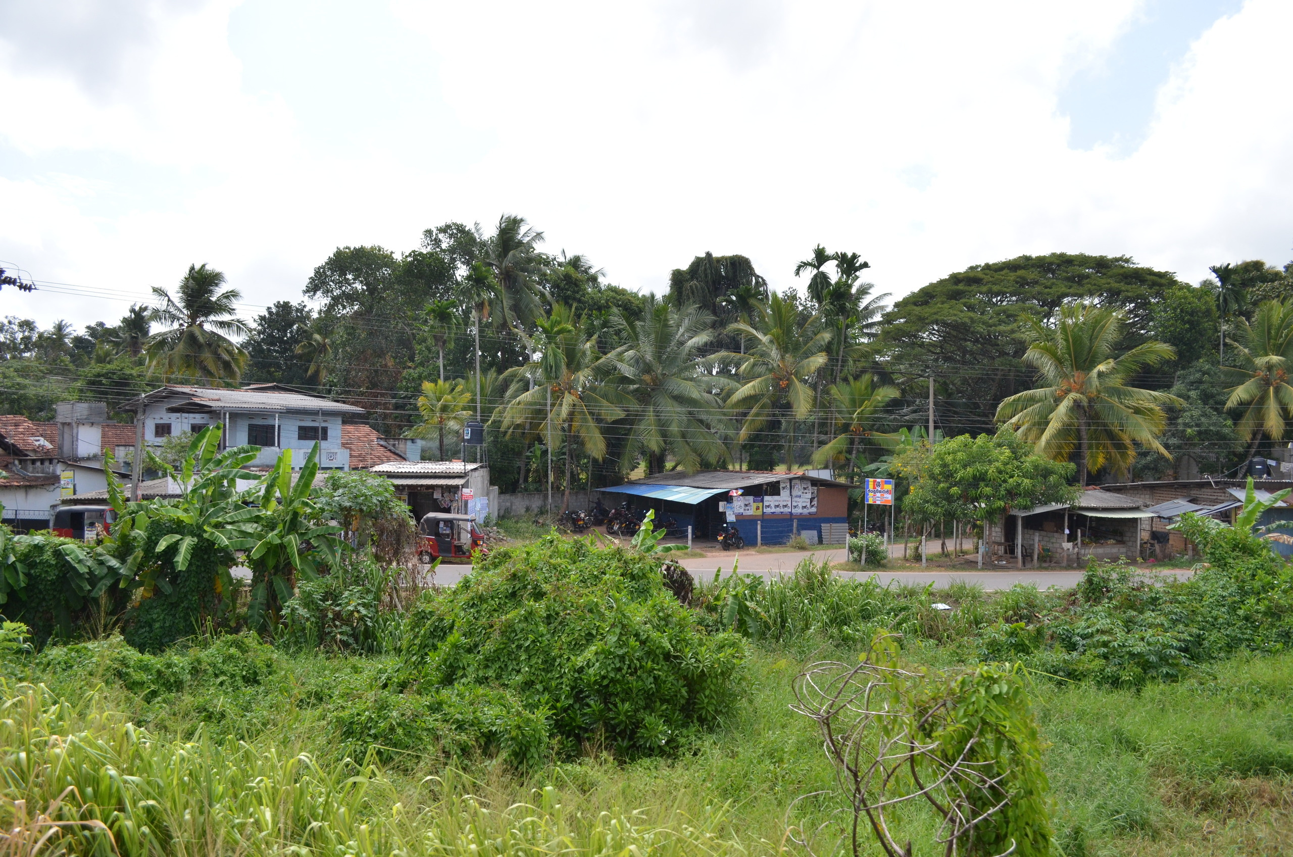 Sri Lanka — Maldives. Milok et Kirok sont des gens positifs et réels. Nous serons ravis de v