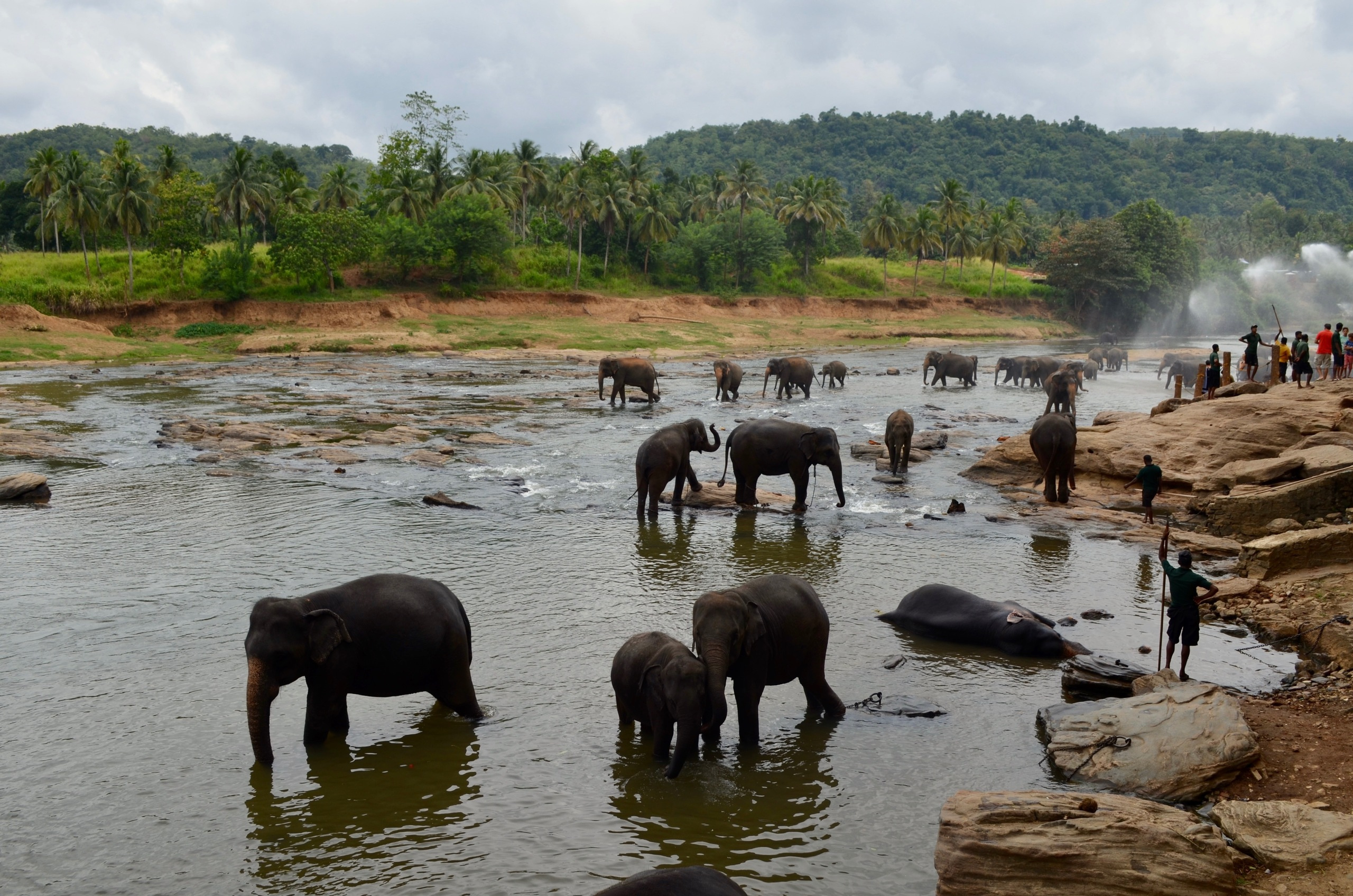 Sri Lanka — Maldives. Milok et Kirok sont des gens positifs et réels. Nous serons ravis de v