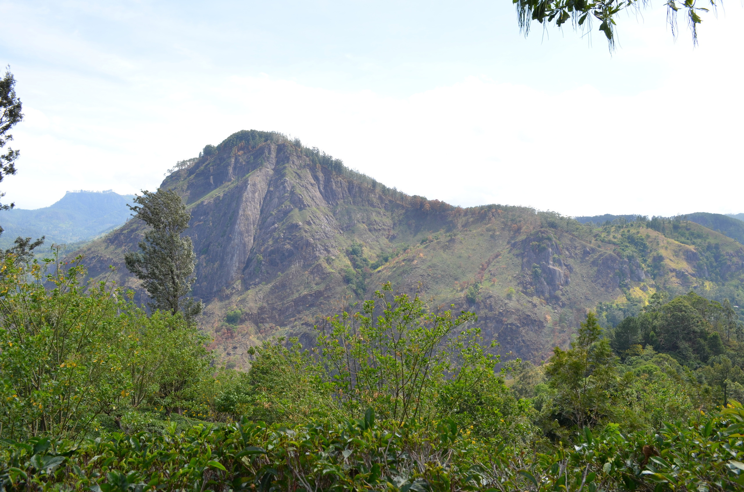 Sri Lanka — Maldives. Milok et Kirok sont des gens positifs et réels. Nous serons ravis de v
