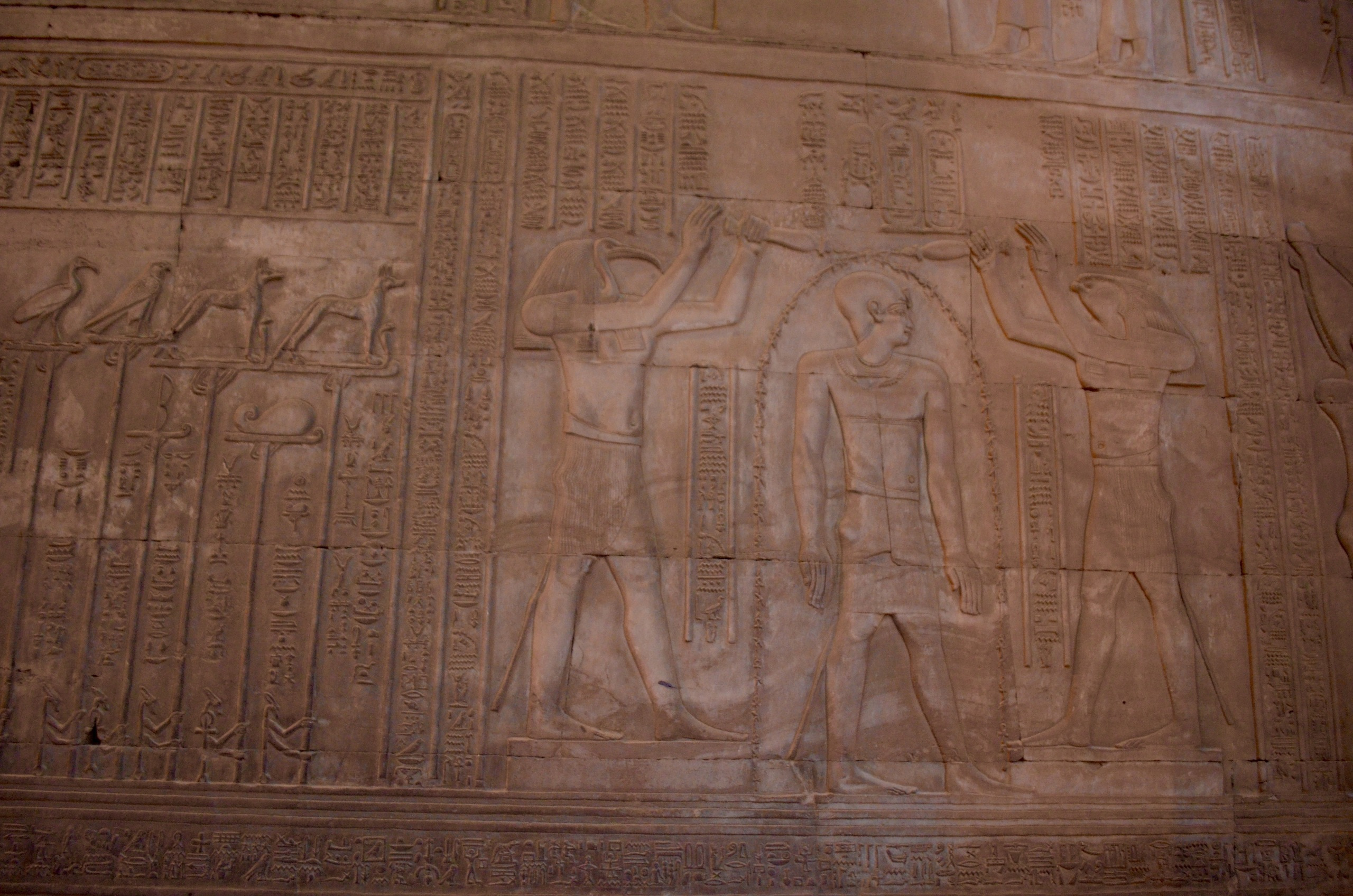 Croisière sur le Nil. Milok et Kirok sont des gens positifs et réels. Nous serons ravis de v