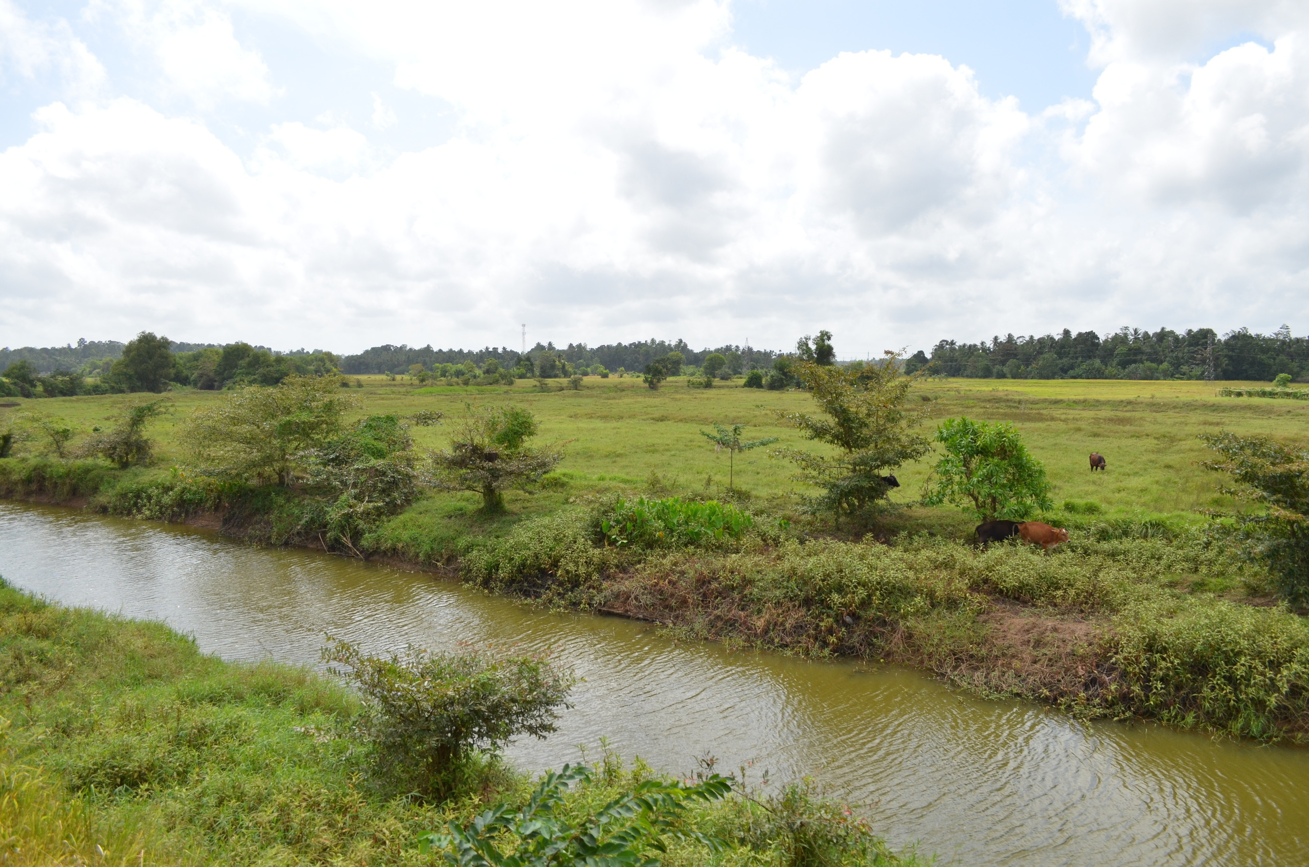 Sri Lanka — Maldives. Milok et Kirok sont des gens positifs et réels. Nous serons ravis de v