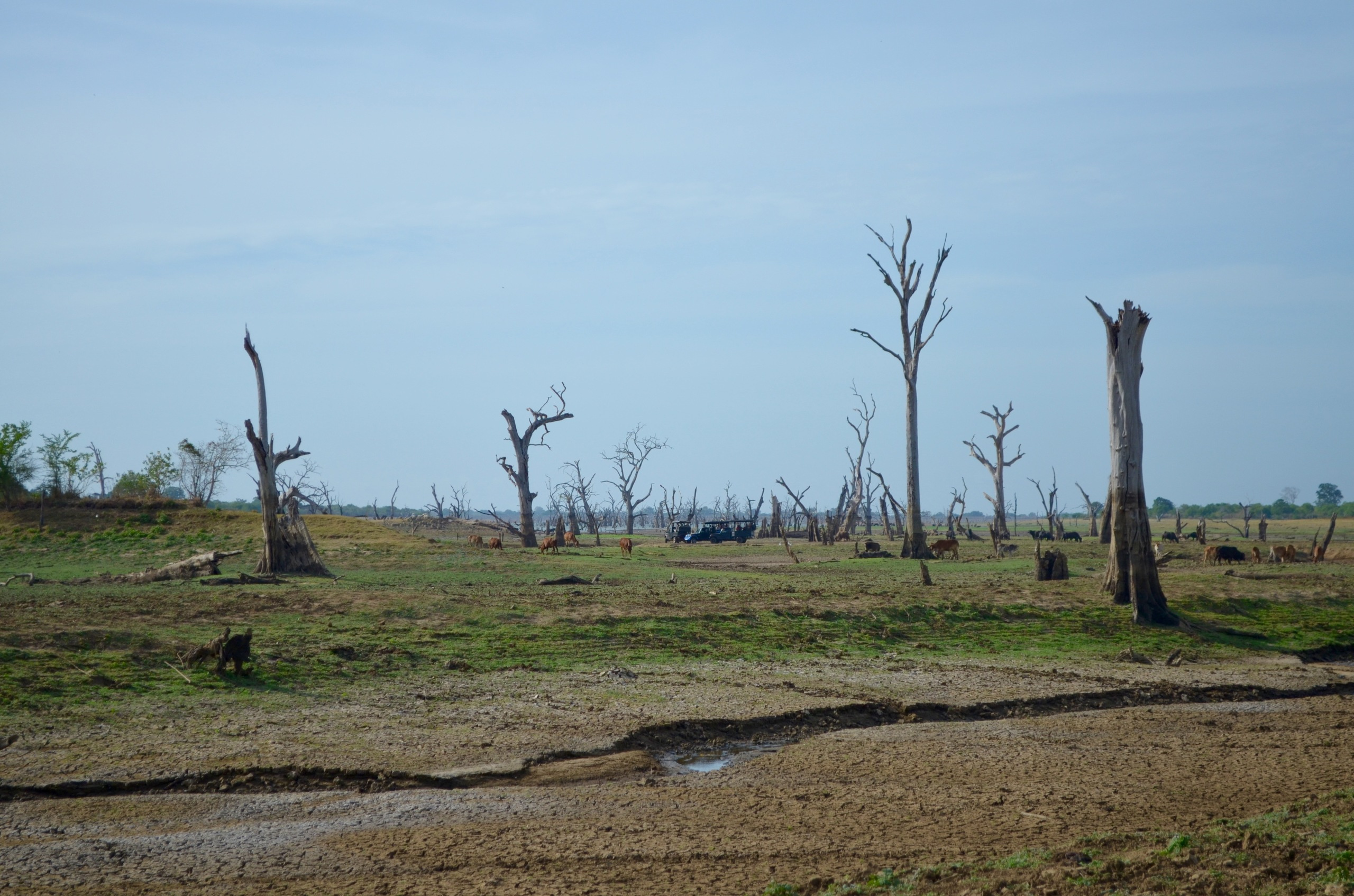 Sri Lanka — Maldives. Milok et Kirok sont des gens positifs et réels. Nous serons ravis de v