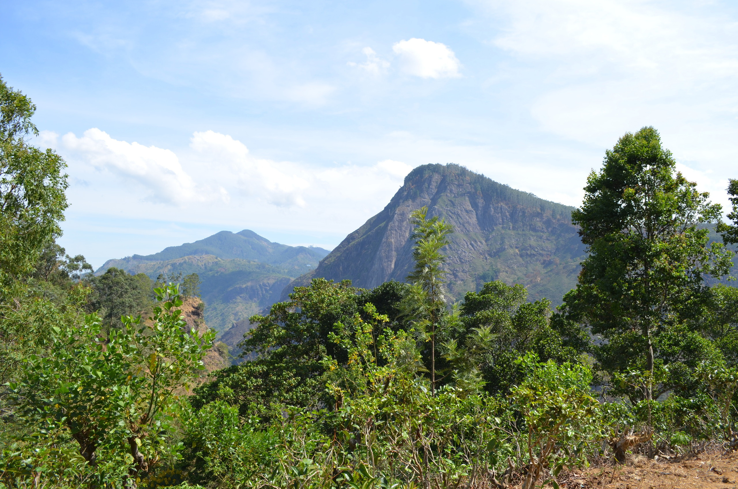 Sri Lanka — Maldives. Milok et Kirok sont des gens positifs et réels. Nous serons ravis de v