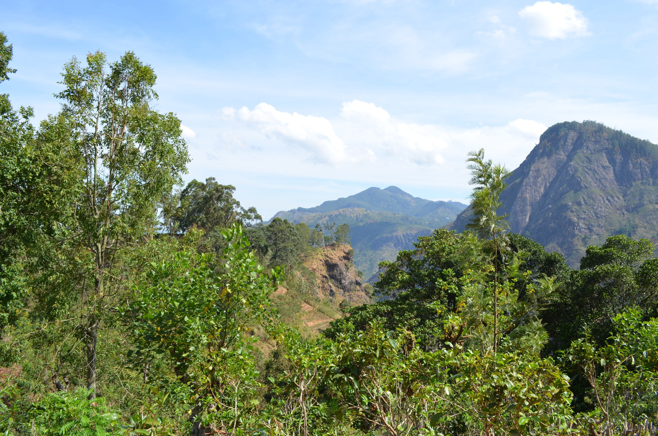 Sri Lanka — Maldives. Milok et Kirok sont des gens positifs et réels. Nous serons ravis de v