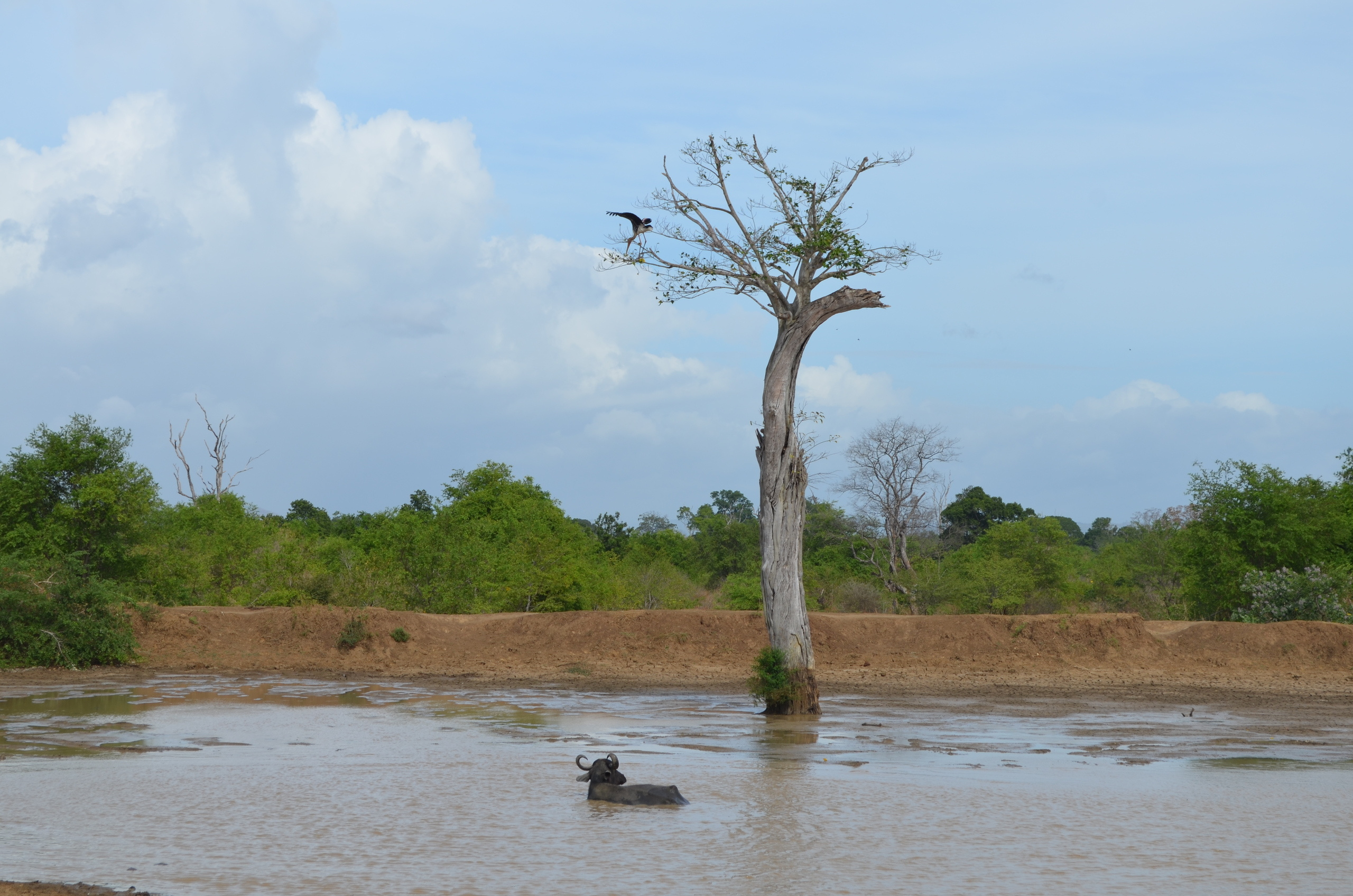 Sri Lanka — Maldives. Milok et Kirok sont des gens positifs et réels. Nous serons ravis de v