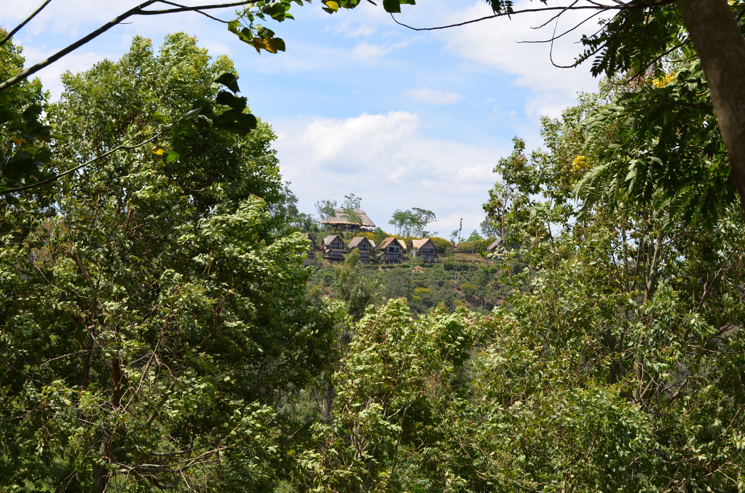 Sri Lanka — Maldives. Milok et Kirok sont des gens positifs et réels. Nous serons ravis de v