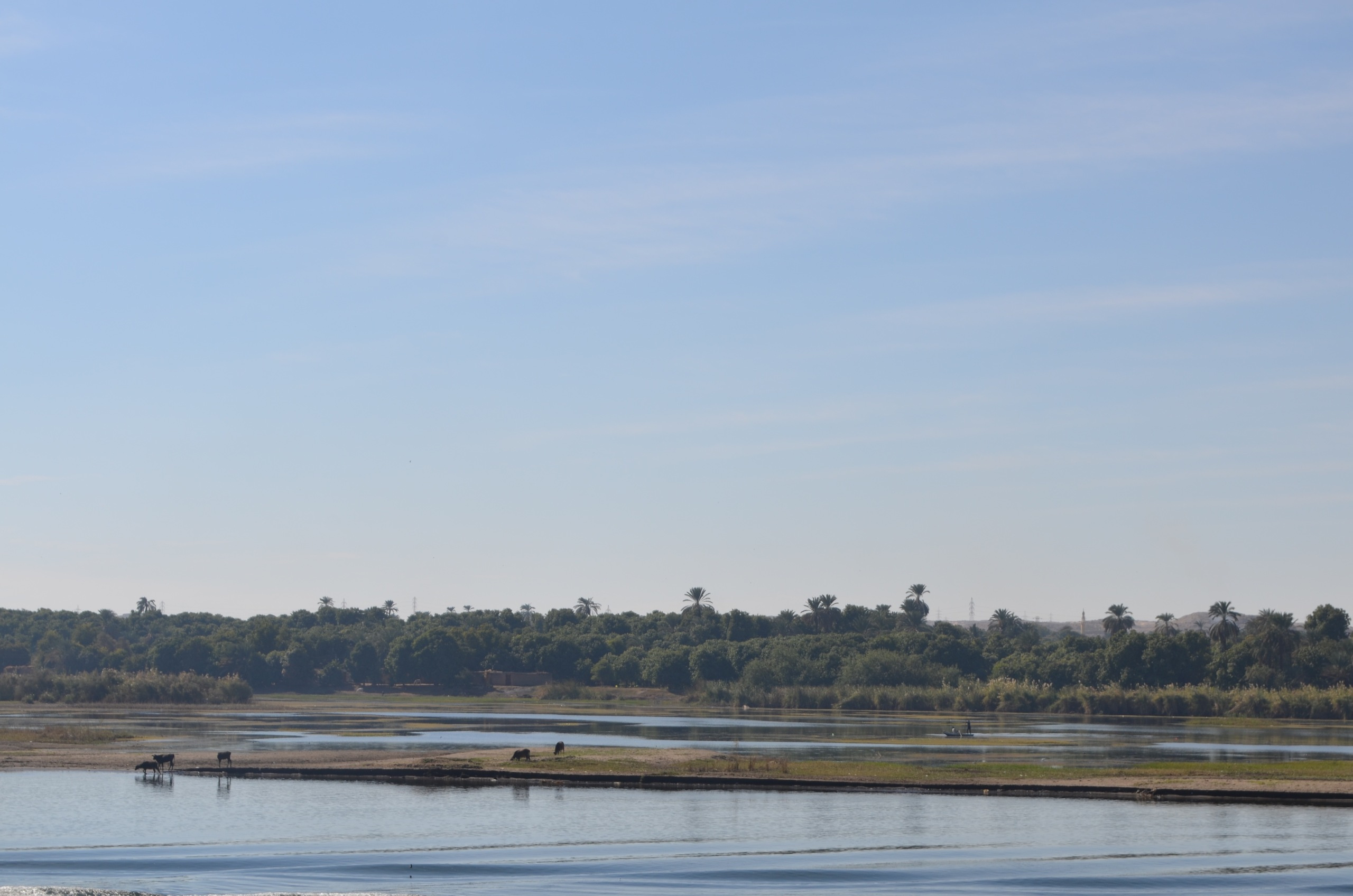 Croisière sur le Nil. Milok et Kirok sont des gens positifs et réels. Nous serons ravis de v
