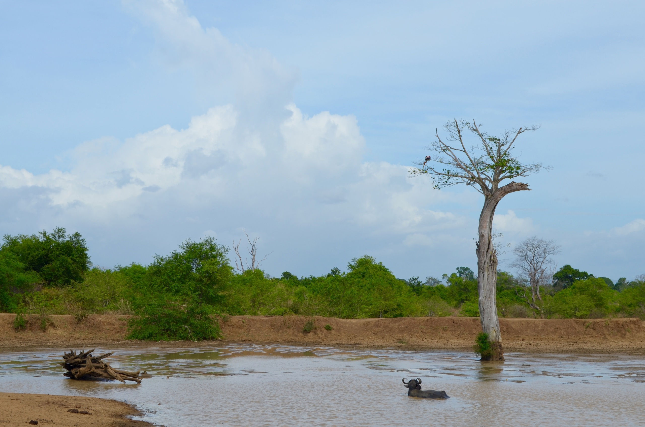Sri Lanka — Maldives. Milok et Kirok sont des gens positifs et réels. Nous serons ravis de v