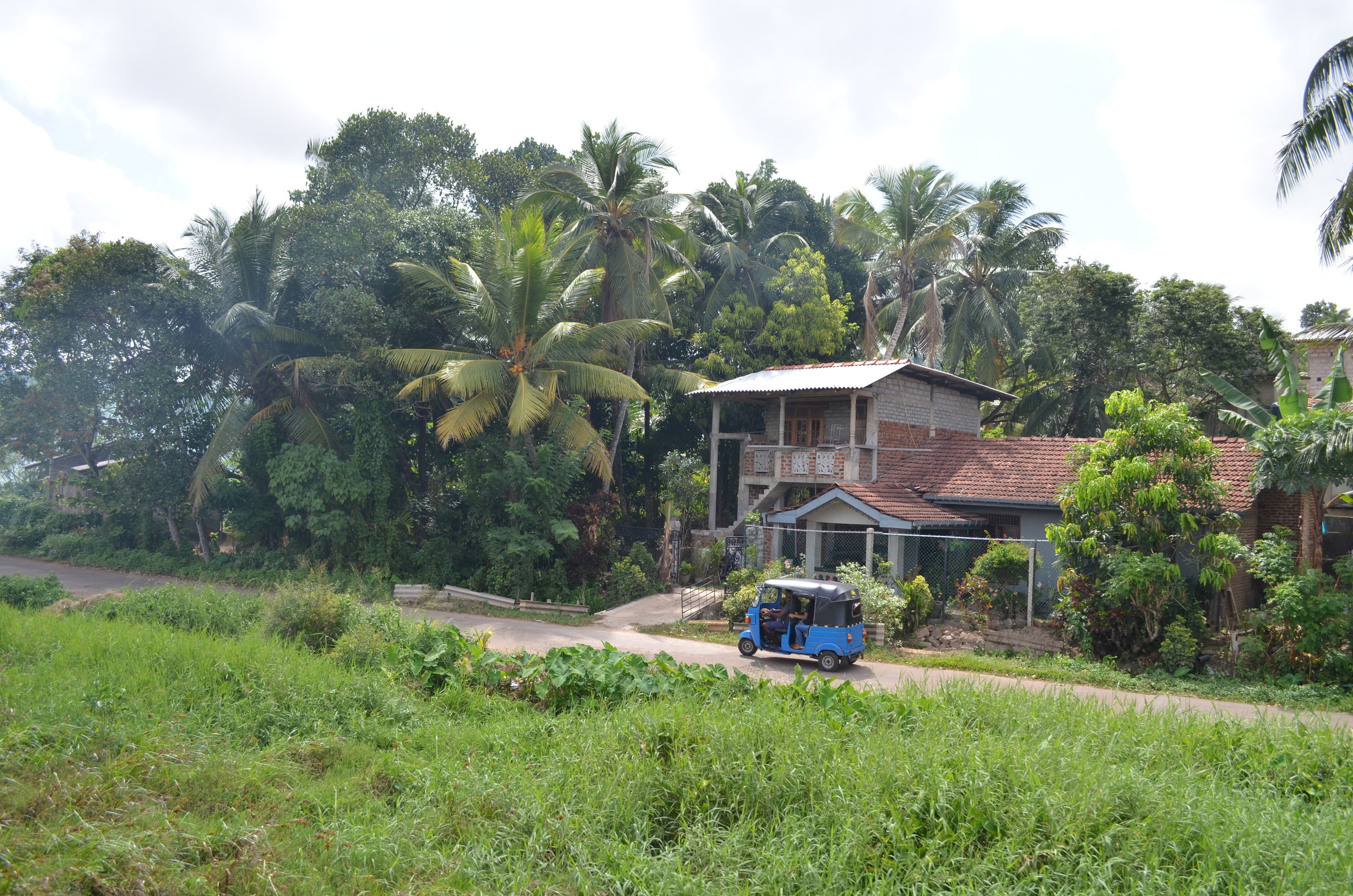 Sri Lanka — Maldives. Milok et Kirok sont des gens positifs et réels. Nous serons ravis de v
