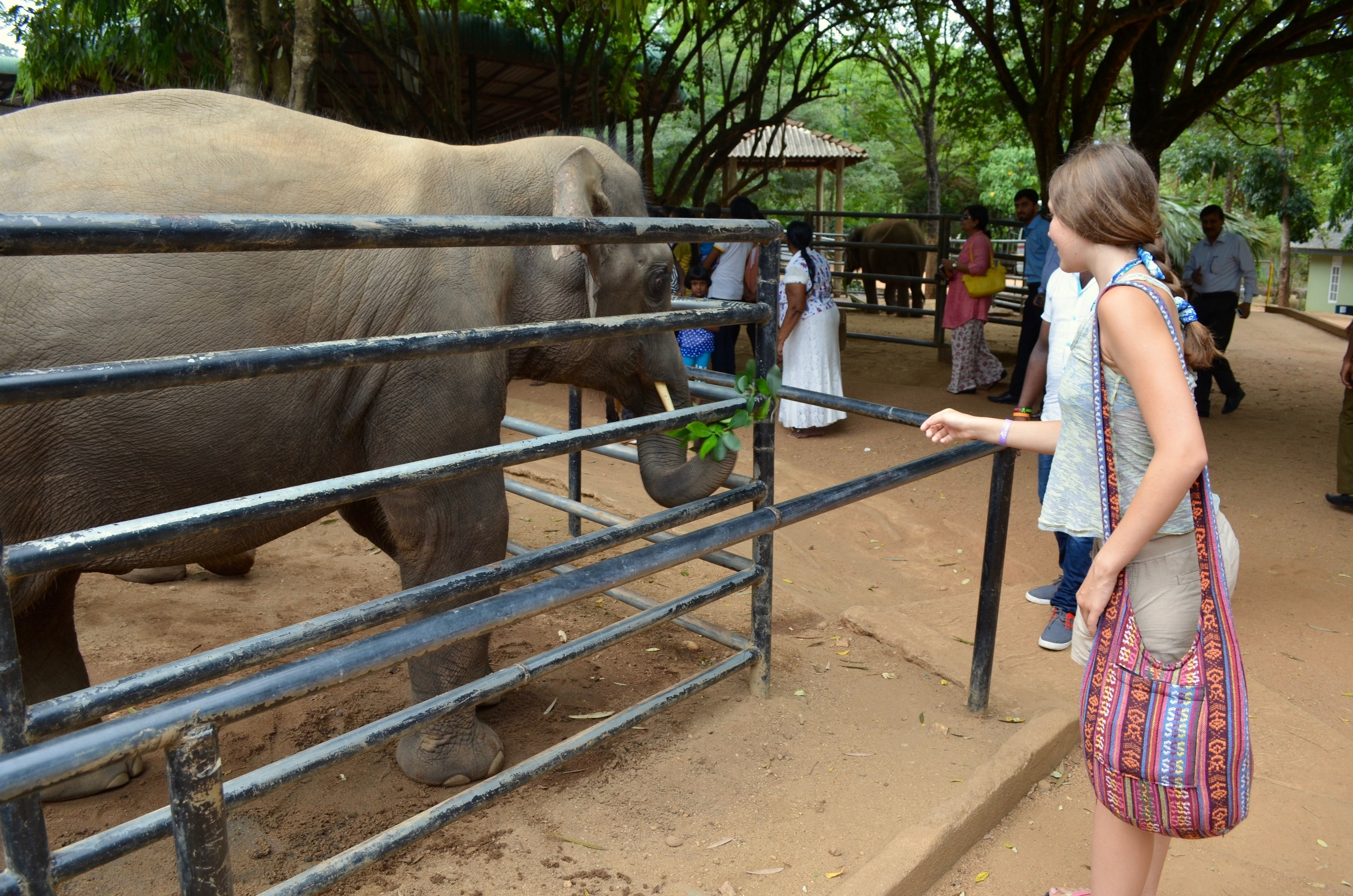 Sri Lanka — Maldives. Milok et Kirok sont des gens positifs et réels. Nous serons ravis de v