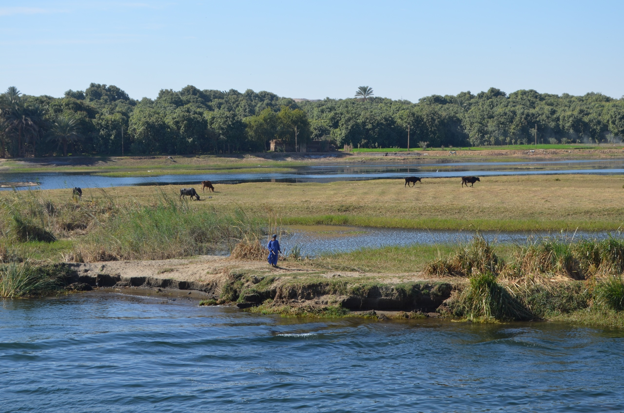Croisière sur le Nil. Milok et Kirok sont des gens positifs et réels. Nous serons ravis de v