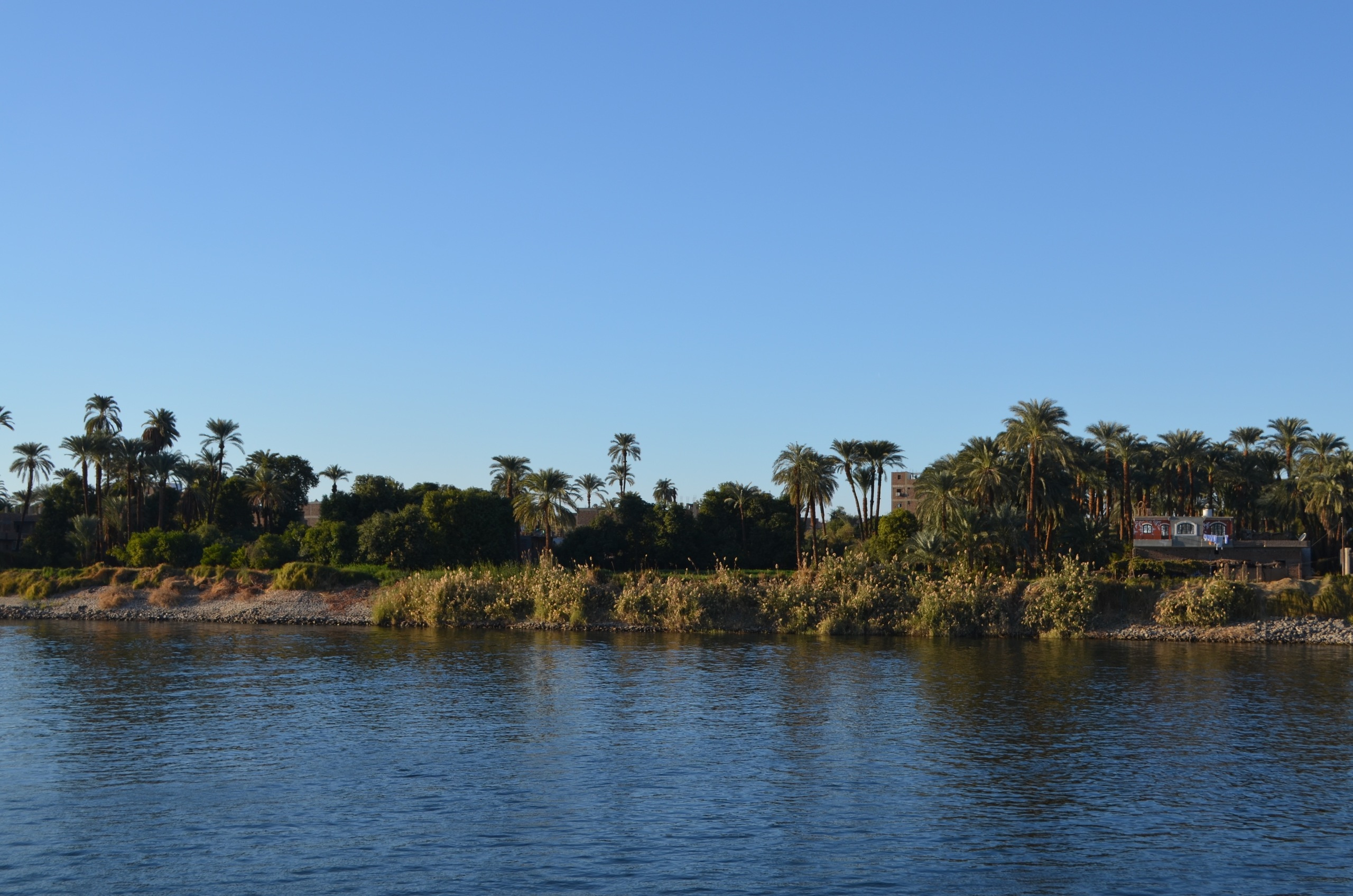 Croisière sur le Nil. Milok et Kirok sont des gens positifs et réels. Nous serons ravis de v
